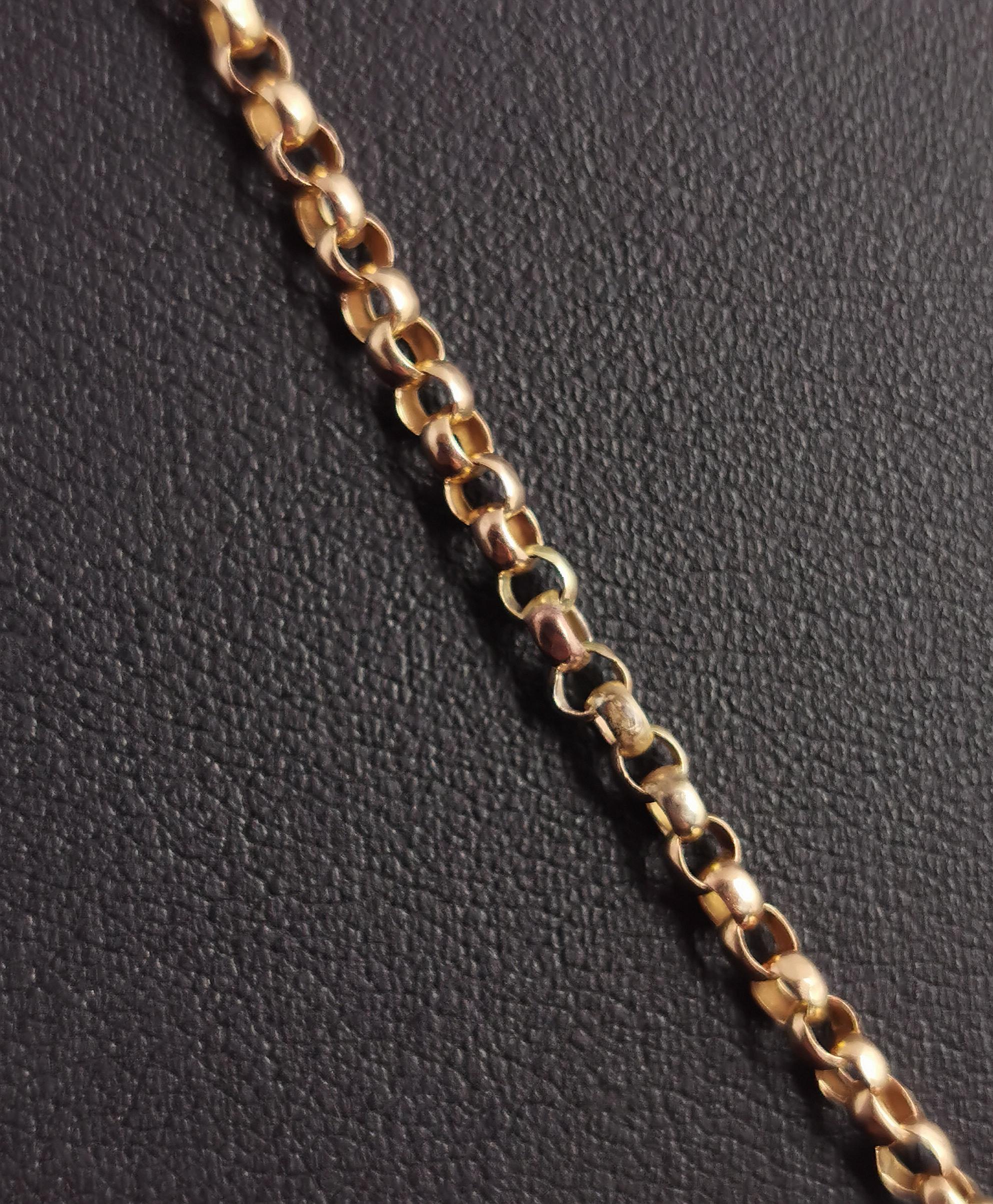 Antique Victorian 9 Karat Yellow Gold Belcher Link Chain Necklace, Dog Clip 3