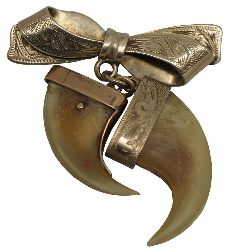 Antique Victorian 9ct Gold Tiger Claw Brooch Bow Pin Pendant Dangle Charm at 1stDibs tiger