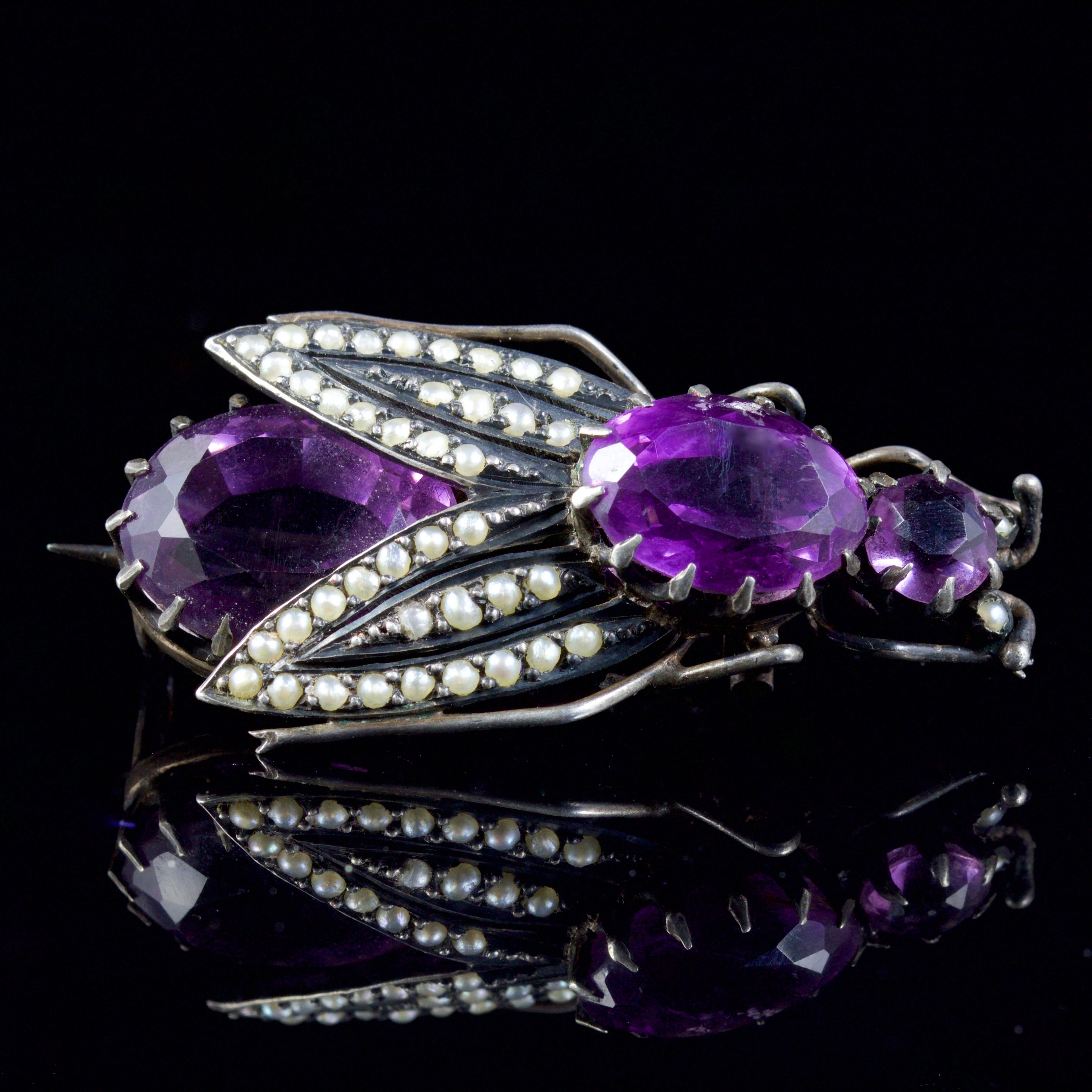 This wonderful Victorian Amethyst bug brooch is set in Silver, circa 1880.

The brooch is handmade, and is decorated in over 10ct of natural Amethyst’s.

The bug has 2 Pearls set as his eyes leading to an Amethyst head, an Amethyst body and Pearls