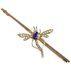 Antique Victorian Amethyst Pearl Dragonfly 9 Carat Gold Boxed Brooch, circa 1900