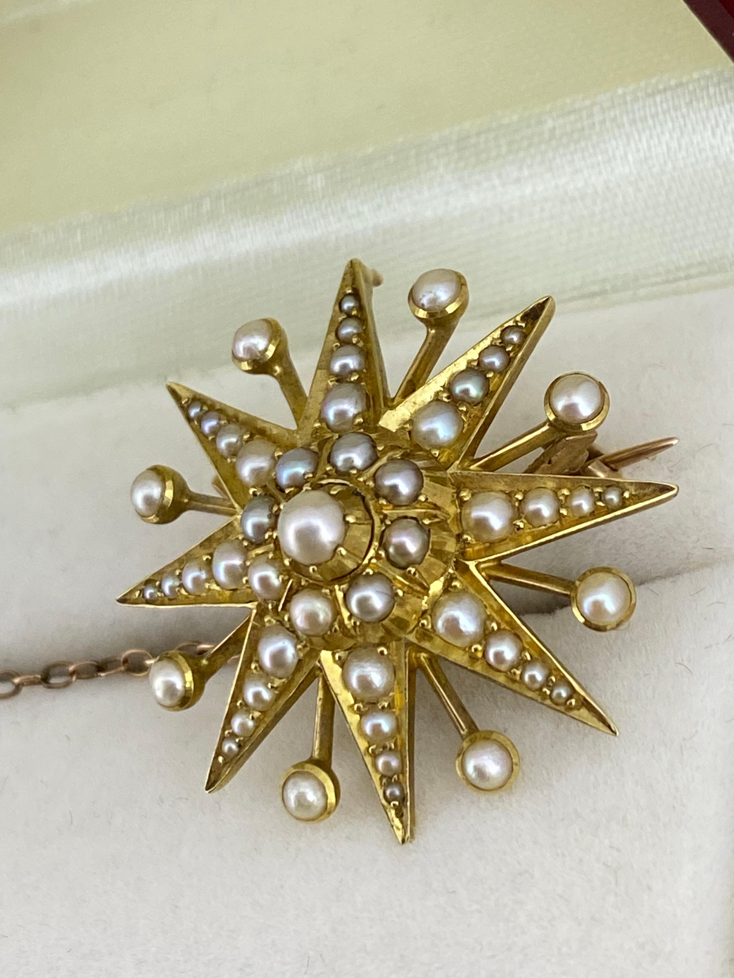 Antique (Victorian) Australian Starburst Seed Pearl (x 49) 30mm Brooch/Pendant For Sale 2