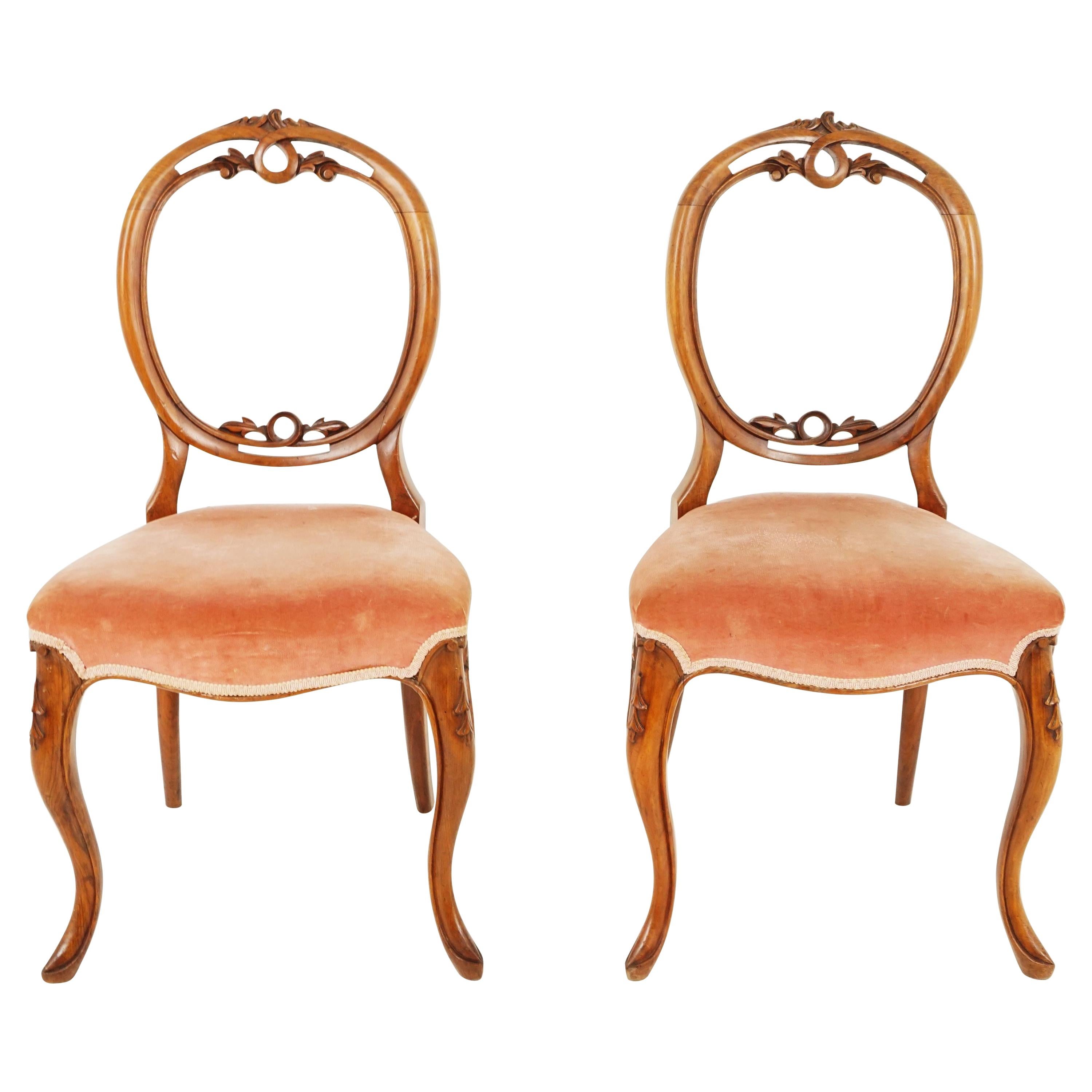 Chaises victoriennes anciennes à dossier en forme de ballon, bois de rose, lot de 2, Écosse 1870, B2482