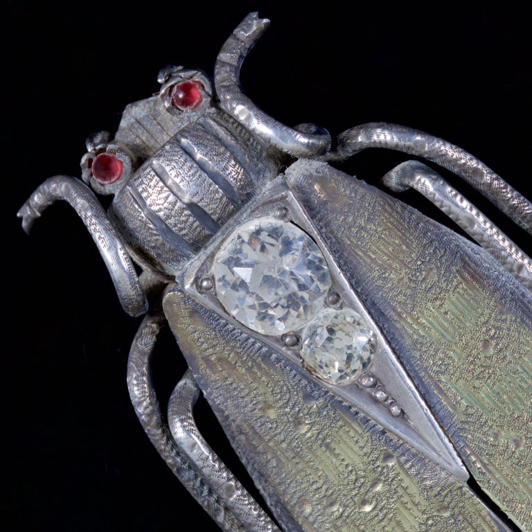 Antique Victorian Beetle Paste Brooch Silver, circa 1880 at 1stDibs