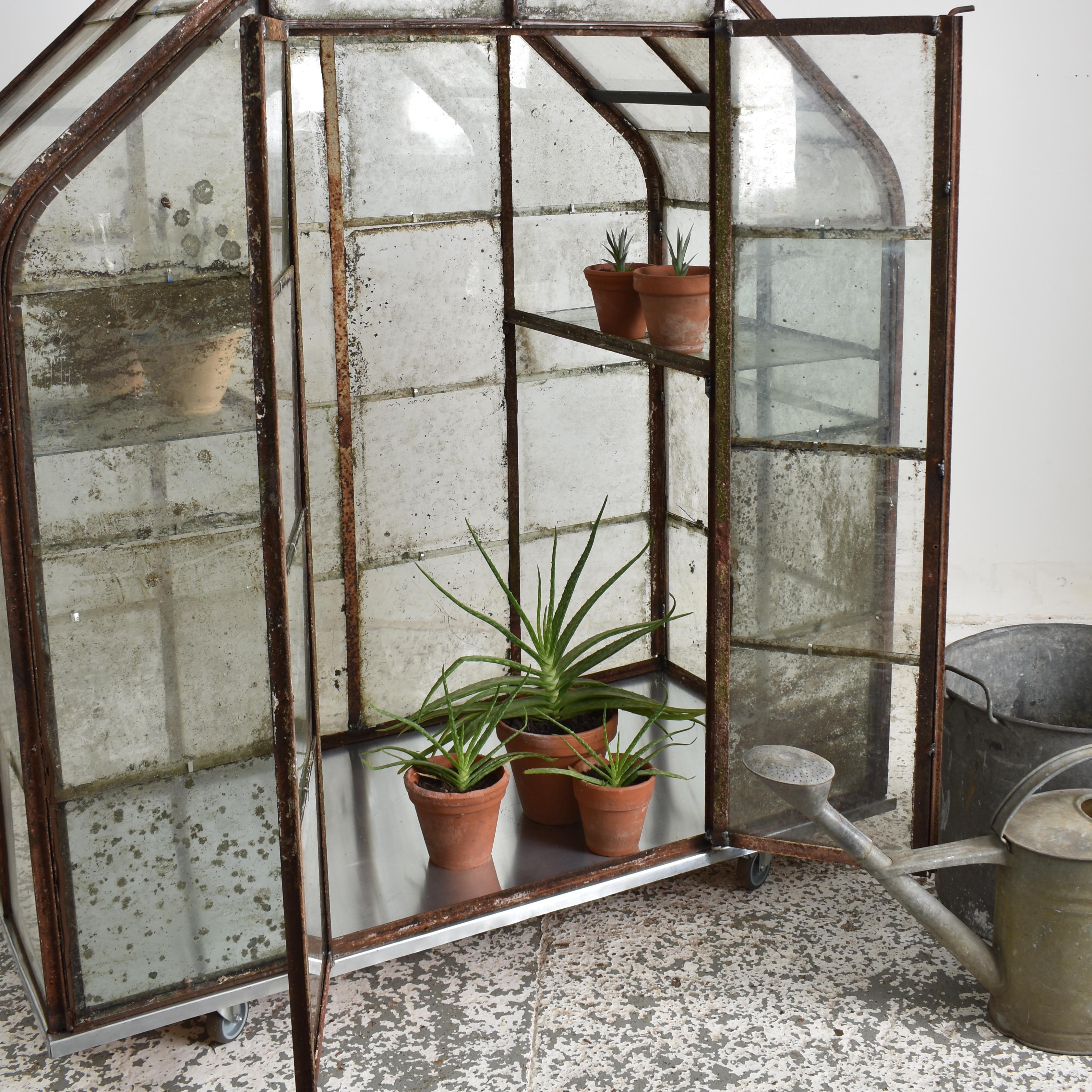 20th Century Antique Victorian Belgium Mini Greenhouse