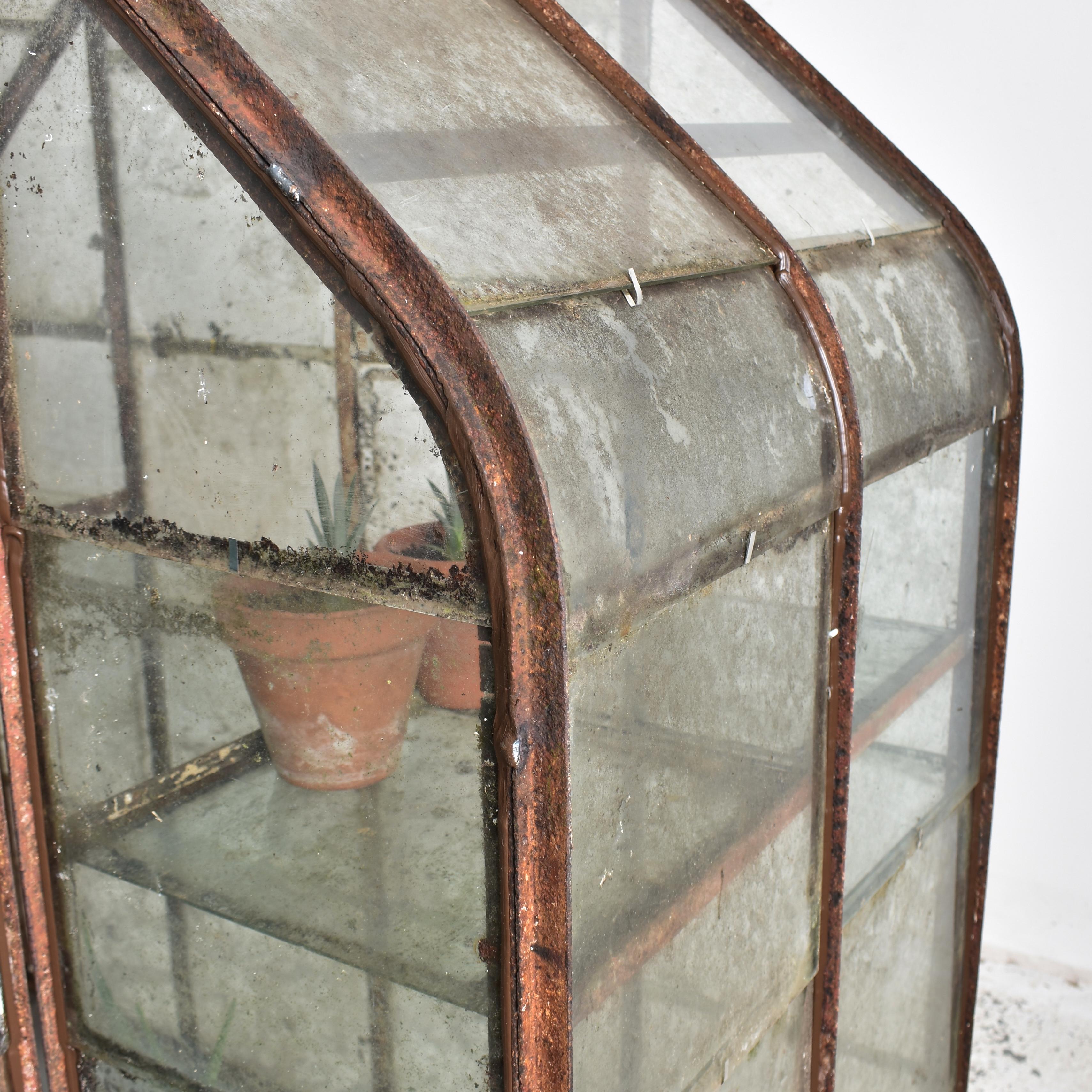 Belgian Antique Victorian Belgium Mini Greenhouse