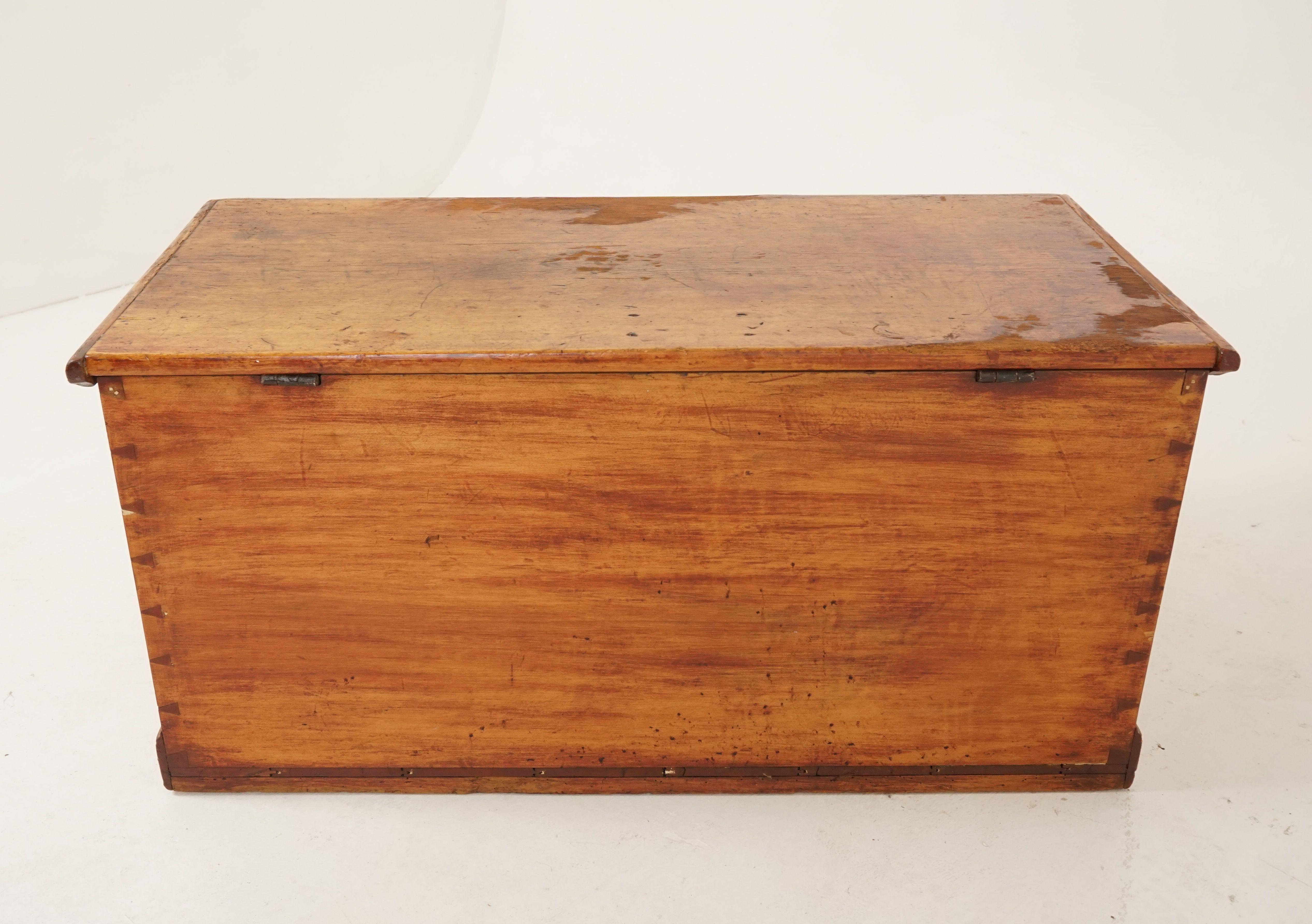 Antique Victorian Blanket Box, Pine Toy Box, Coffee Table, Scotland 1880, B2526 4