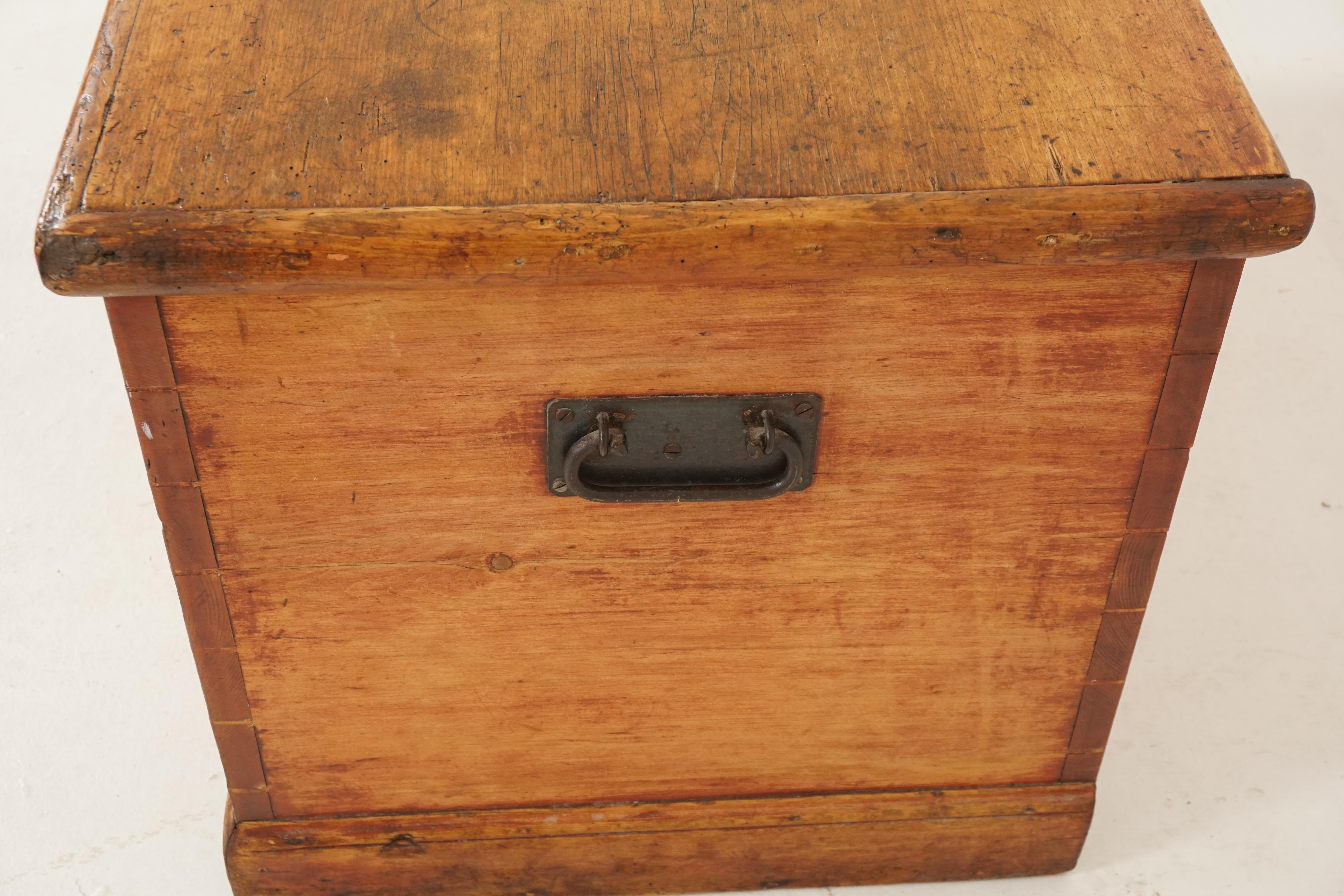 Antique Victorian Blanket Box, Pine Toy Box, Coffee Table, Scotland 1880, B2526 3