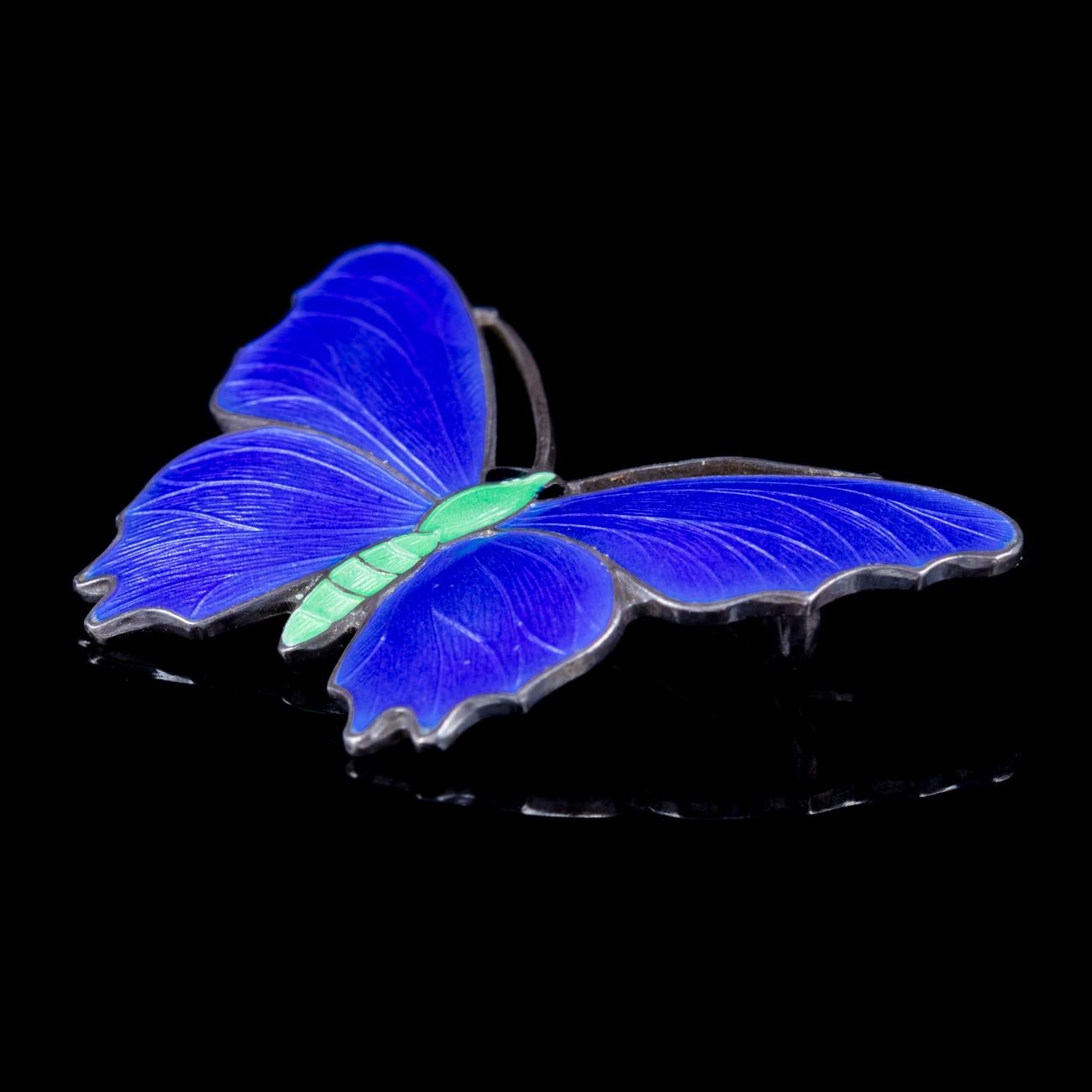 Antique Victorian Blue Enamel Butterfly Brooch Sterling Silver, circa 1900 In Good Condition In Lancaster, Lancashire