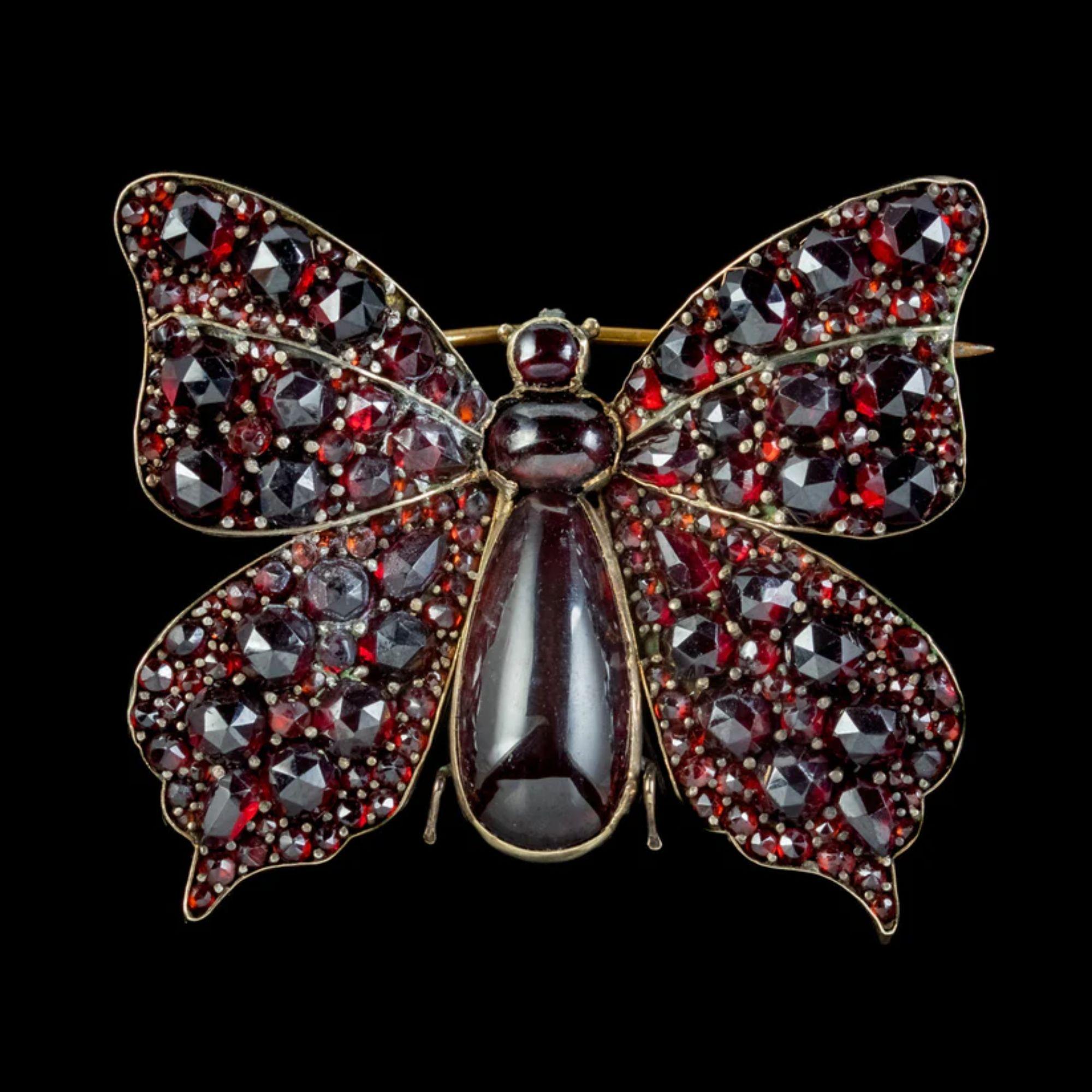 Eine hübsche antike viktorianische Schmetterlingsbrosche, besetzt mit einer prächtigen Sammlung böhmischer Granate, die unter ihrer dunklen Oberfläche feuerrot leuchten. Die Granate sind in den Flügeln im Rosenschliff und die größeren Cabochons