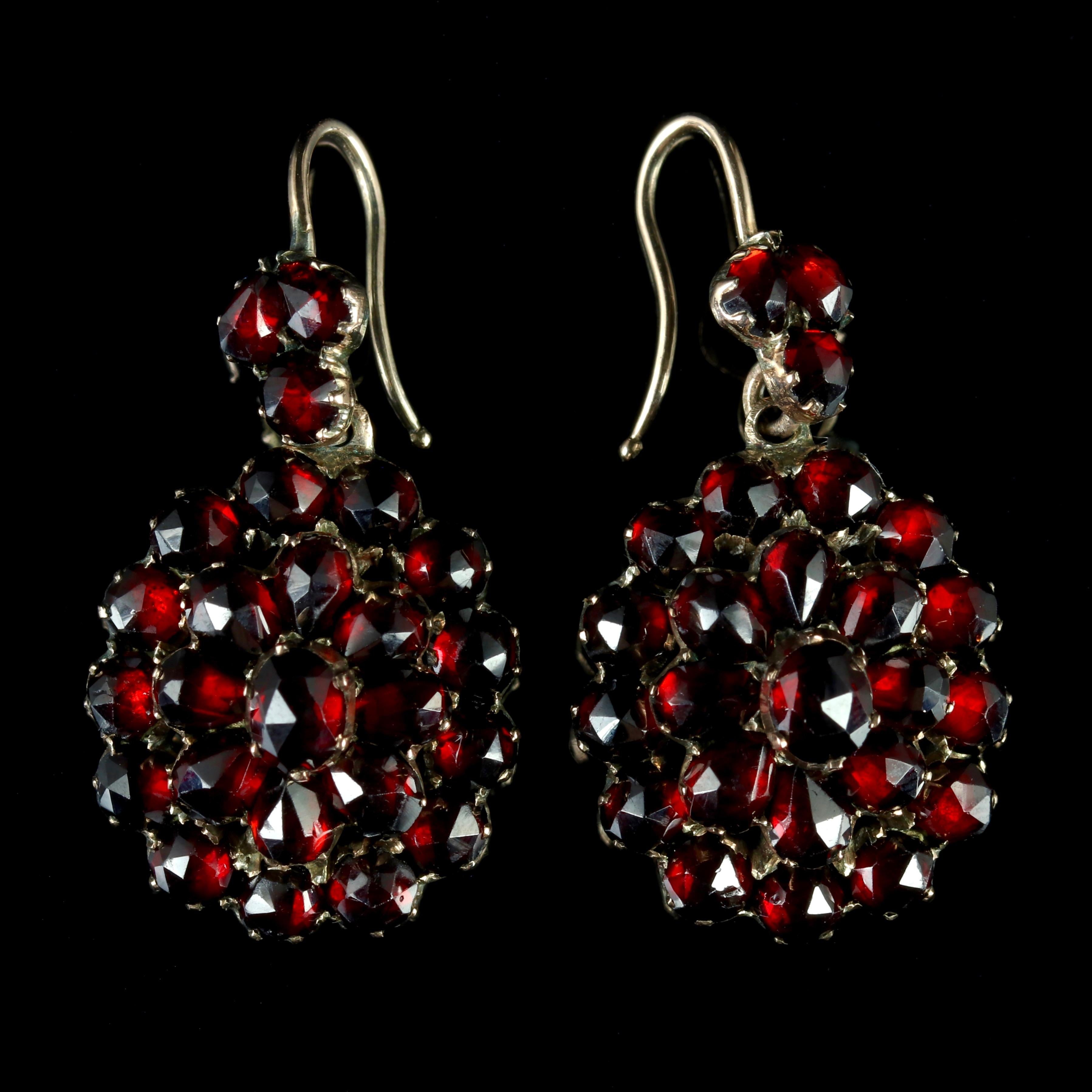 These fabulous Victorian Bohemian Garnet earrings are Circa 1880.

The wonderful pair are adorned with a cluster of deep red Garnets all set in Garnet Gold.

Bohemian Garnets are a small deep red gemstone that became fashionable in the late 19th