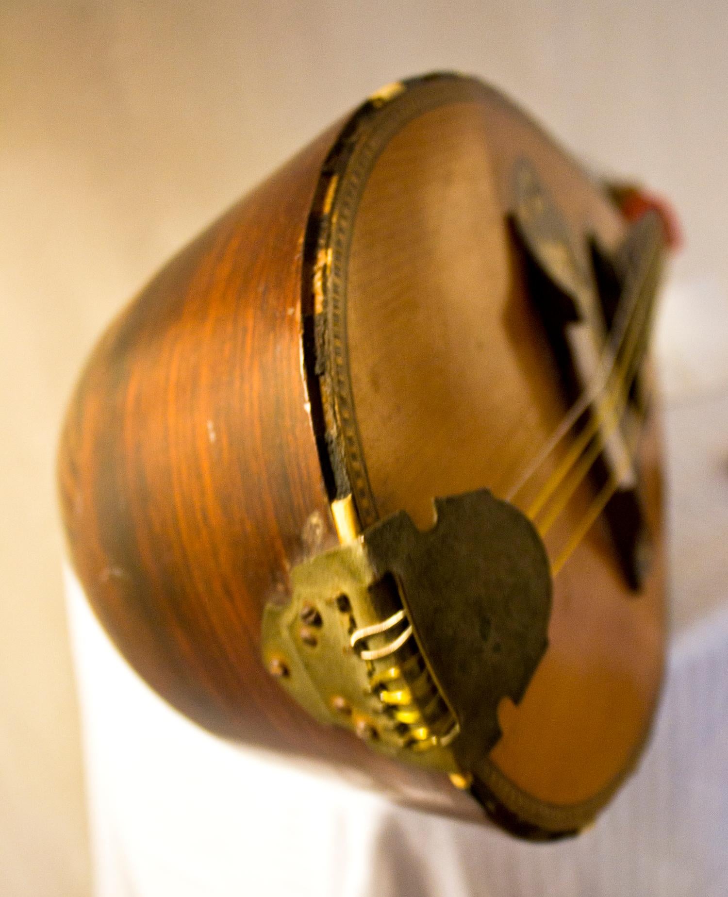 vintage bowl back mandolin makers
