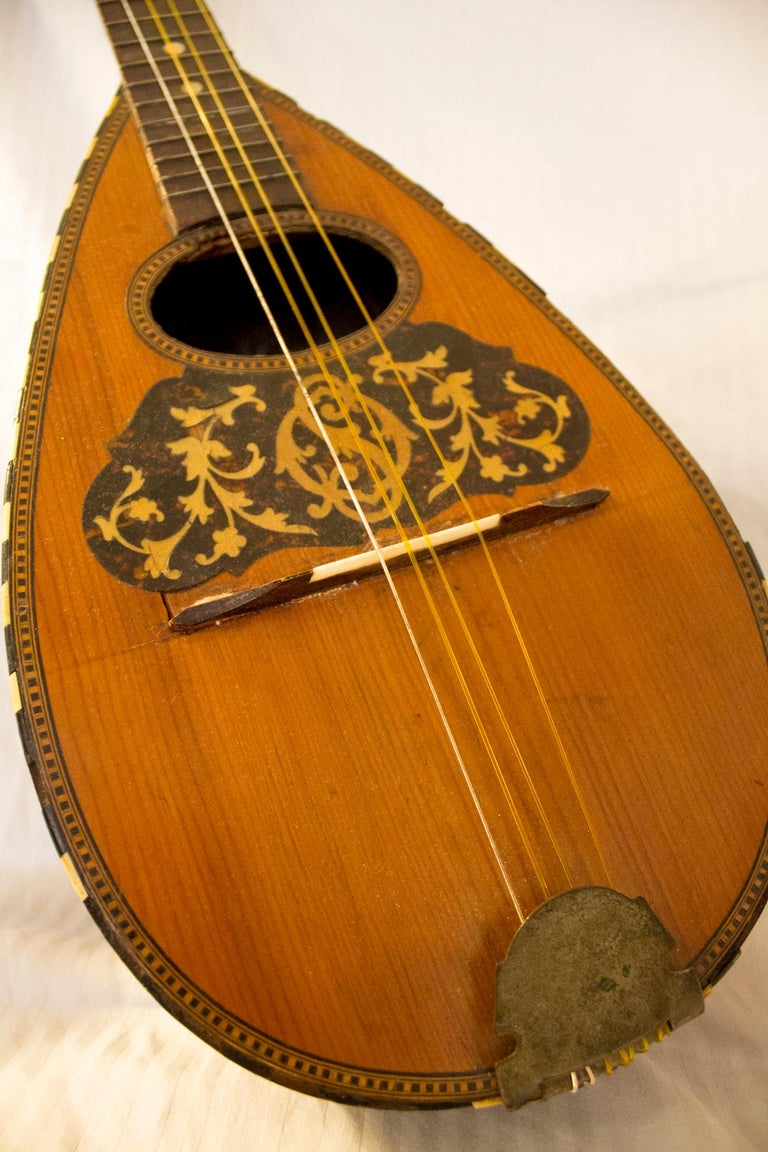 Antique Victorian BowlBack Mandolin at 1stDibs vintage bowl back