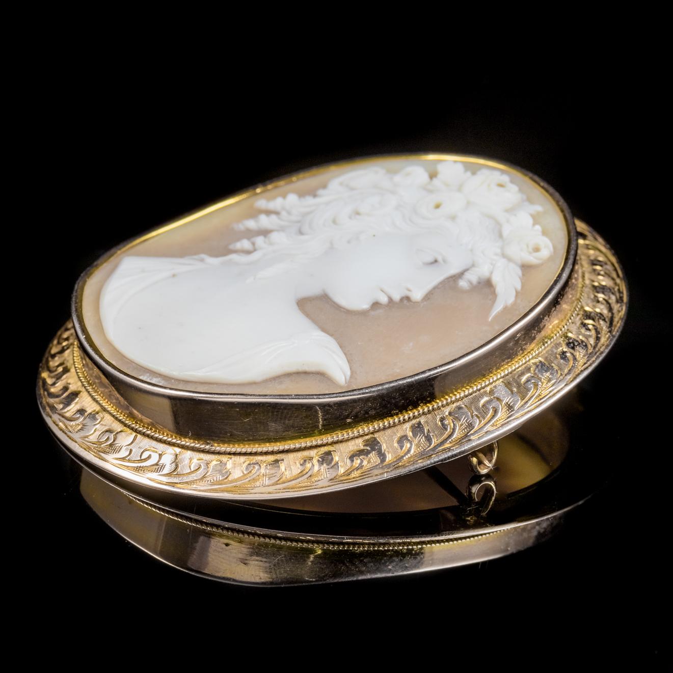 Antique Victorian Bullmouth Shell Cameo Brooch 9 Carat Gold Frame, circa 1900 In Excellent Condition For Sale In Lancaster, Lancashire