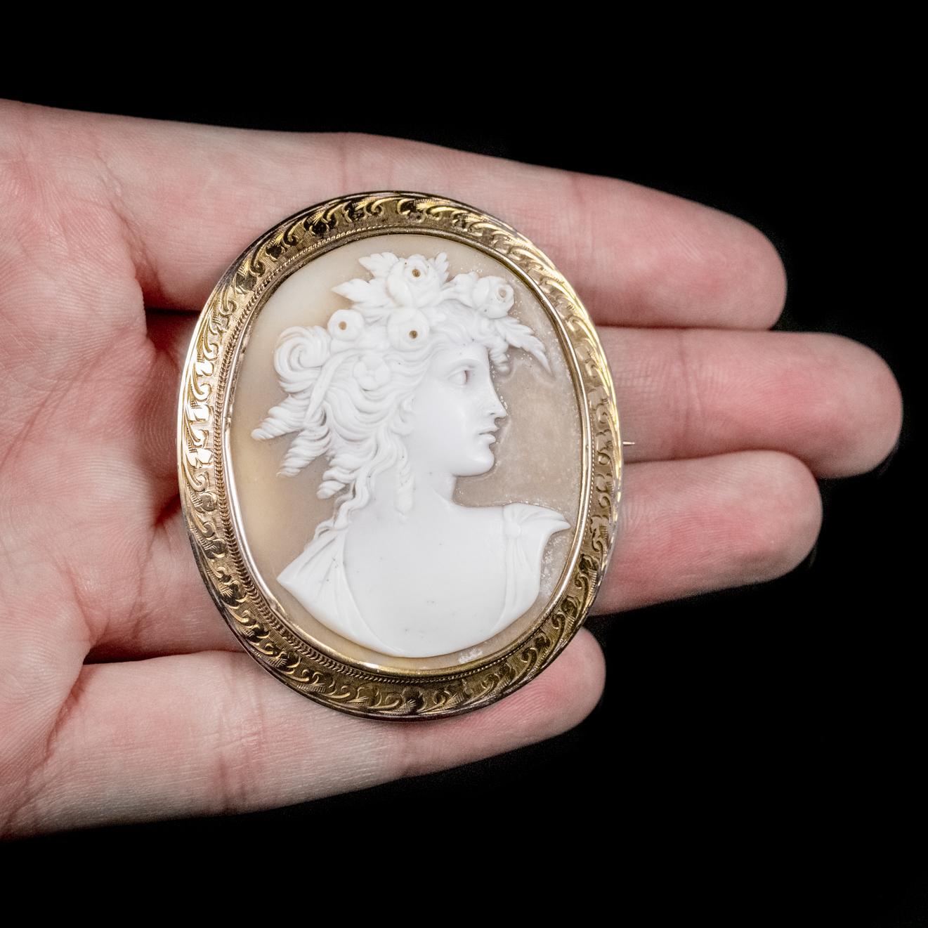 Antique Victorian Bullmouth Shell Cameo Brooch 9 Carat Gold Frame, circa 1900 For Sale 1