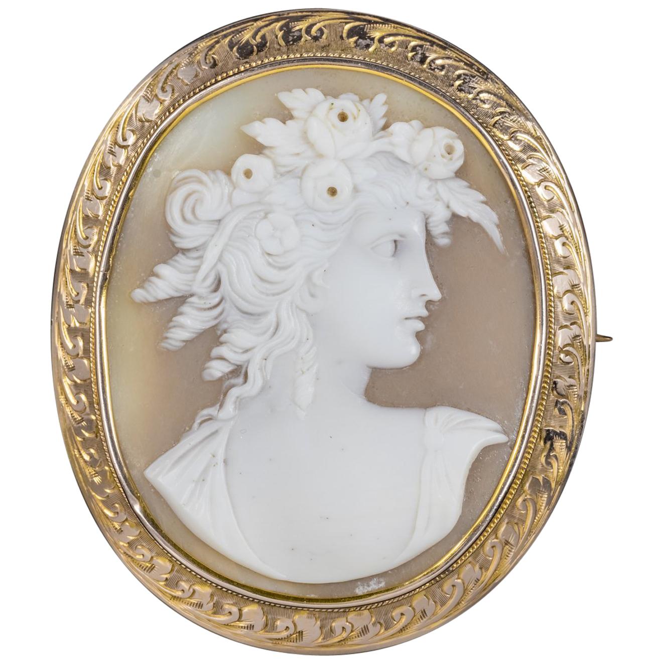 Antique Victorian Bullmouth Shell Cameo Brooch 9 Carat Gold Frame, circa 1900 For Sale