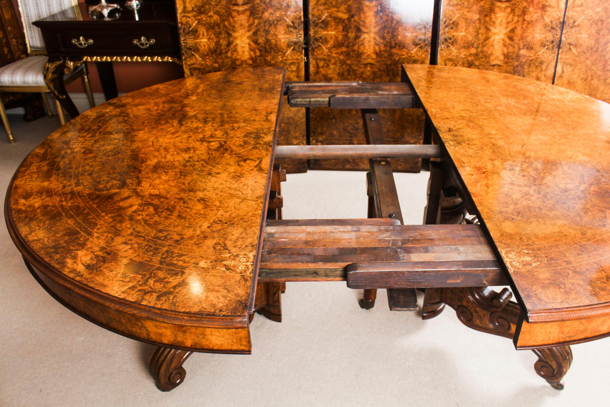 Antique Victorian Burr Marquetry Walnut Dining Table 19th Century and 14 Chairs 4