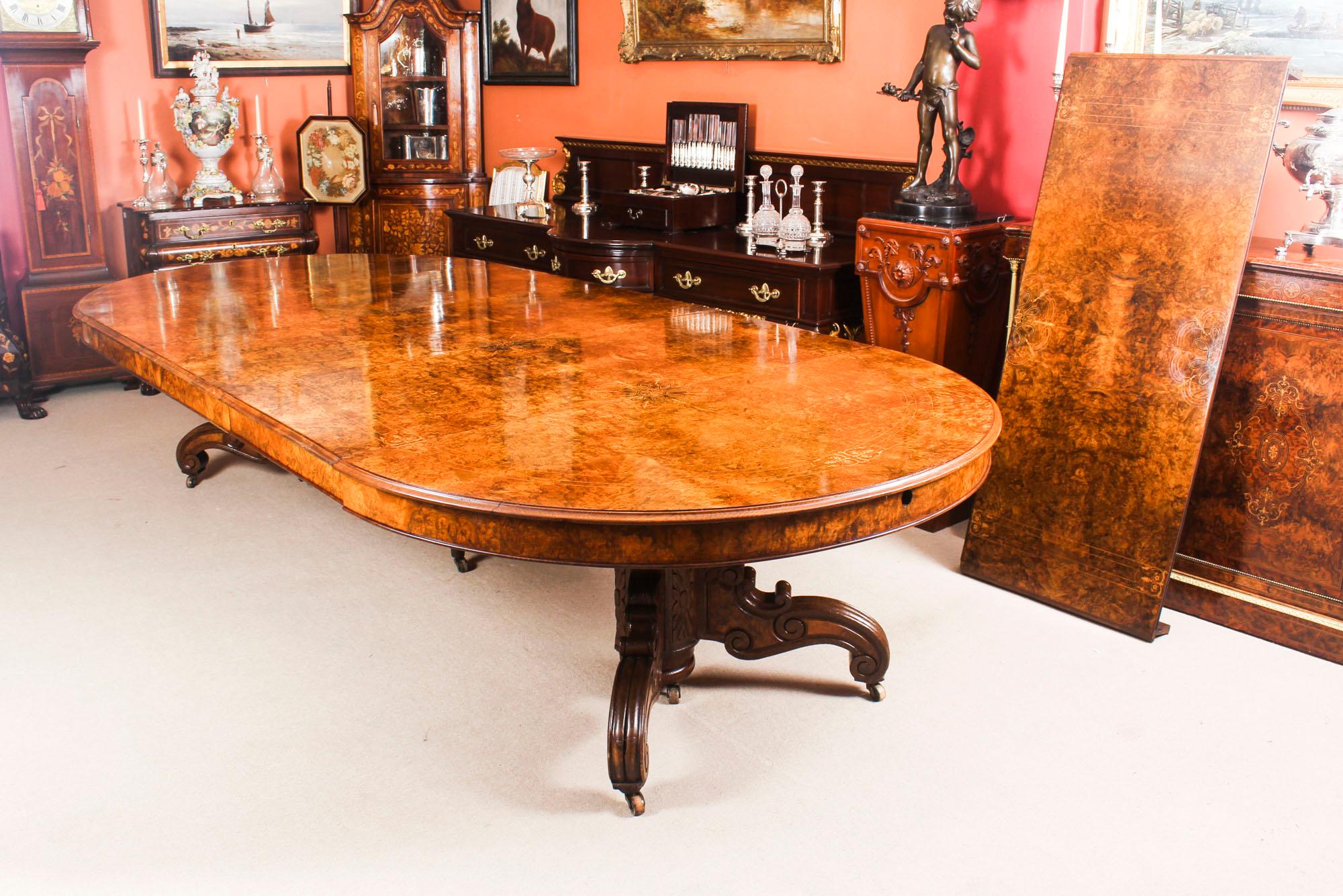 English Antique Victorian Burr Marquetry Walnut Dining Table 19th Century and 14 Chairs