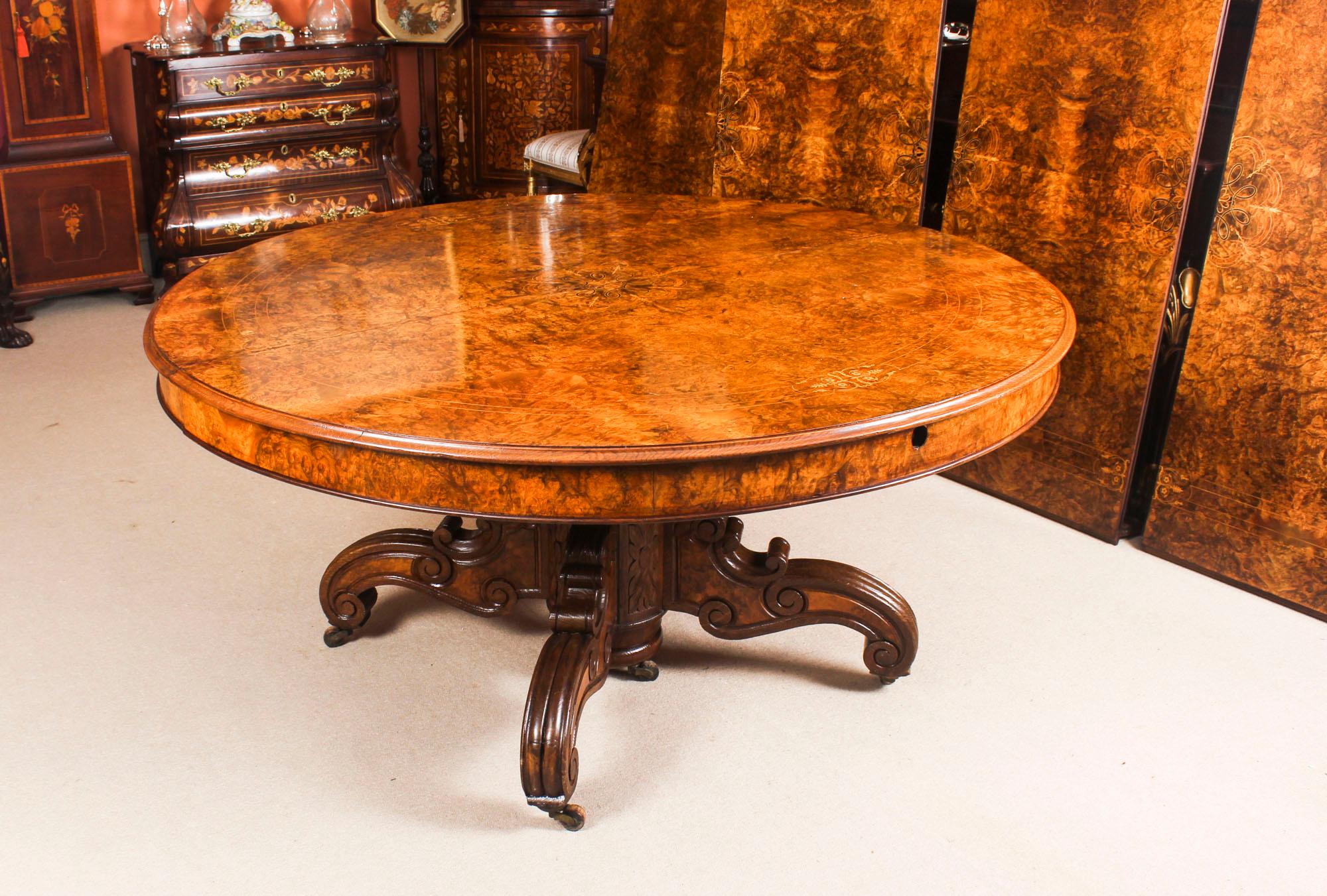 Late 19th Century Antique Victorian Burr Marquetry Walnut Dining Table 19th Century and 14 Chairs