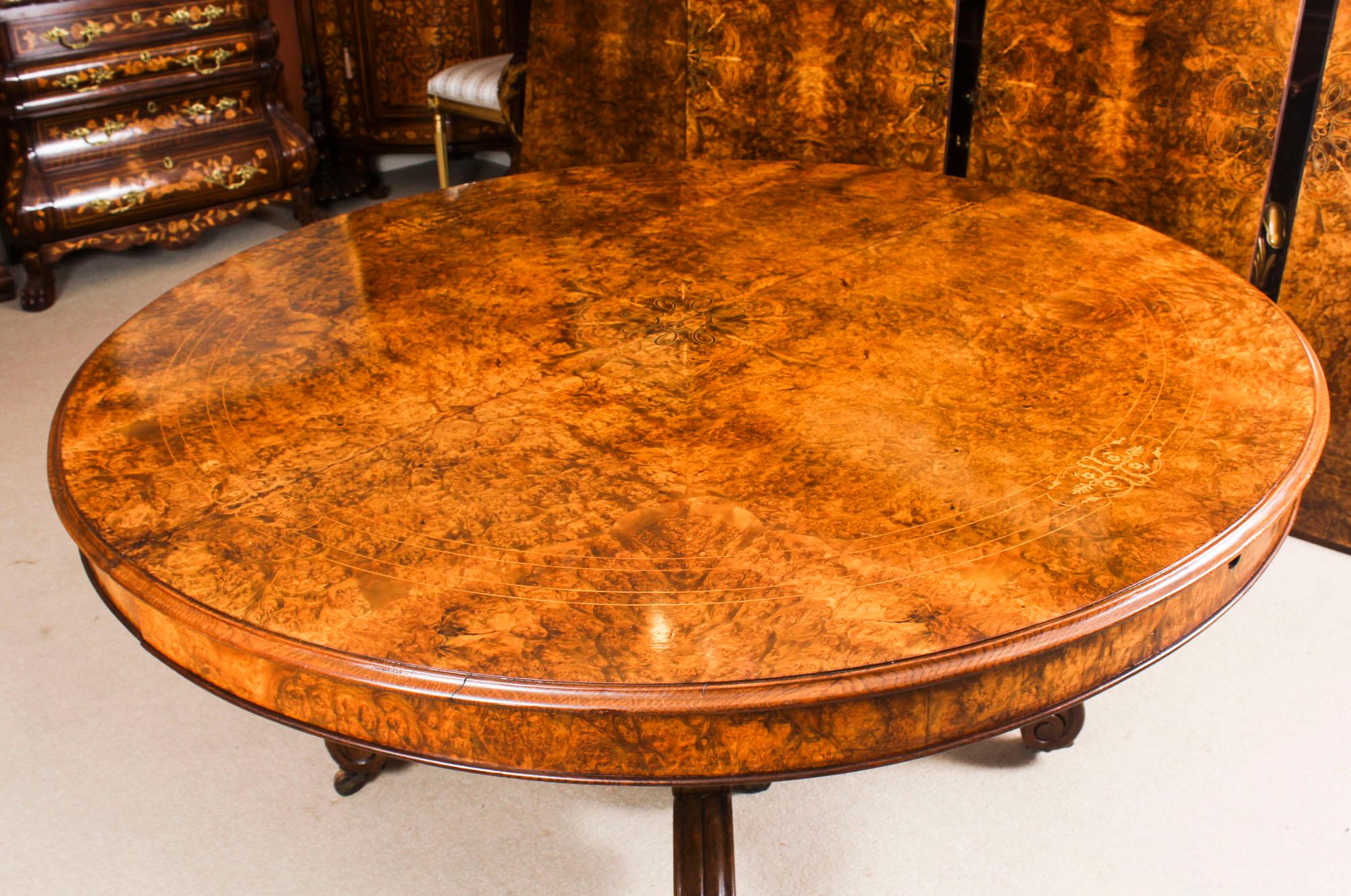 Antique Victorian Burr Marquetry Walnut Dining Table 19th Century and 14 Chairs 1