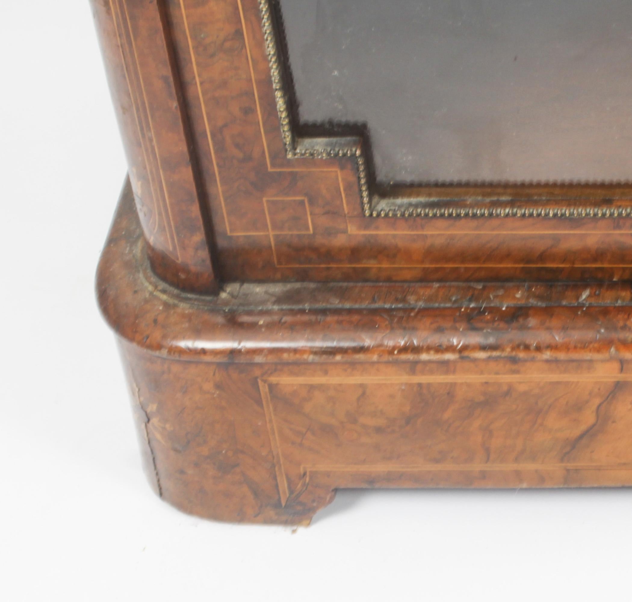 Antique Victorian Burr Walnut 3 Door Credenza Sideboard Bookcase 19th C 3