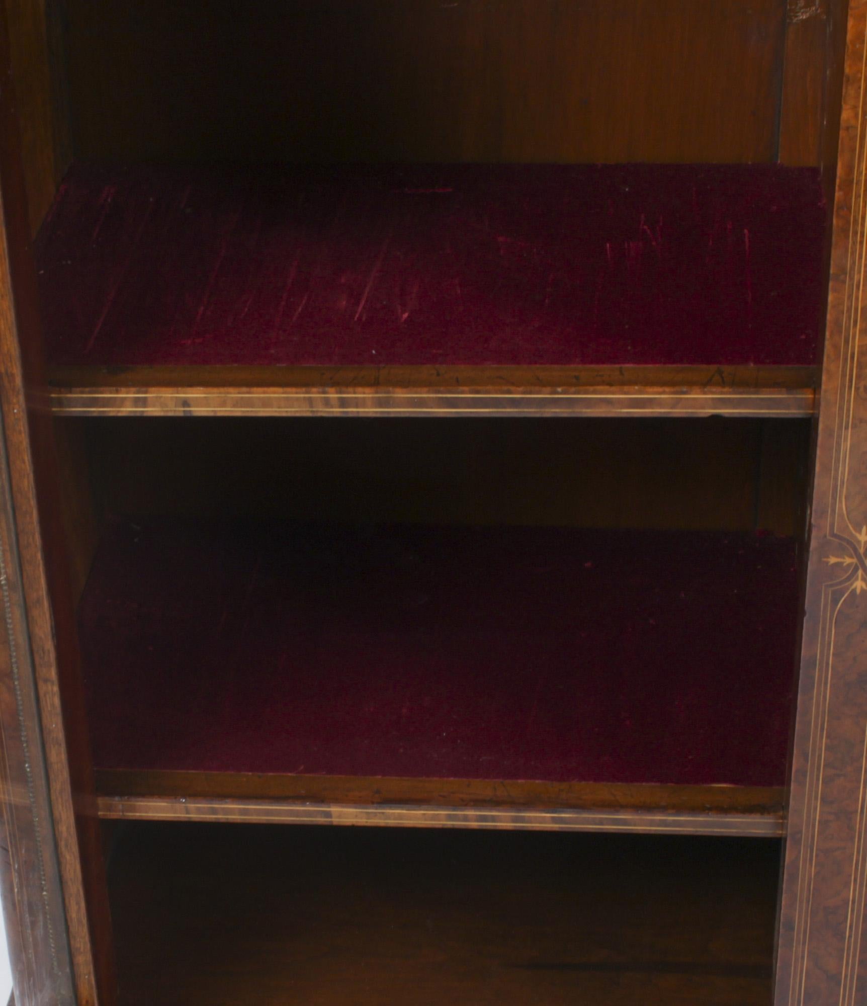 Antique Victorian Burr Walnut 3 Door Credenza Sideboard Bookcase 19th C 5