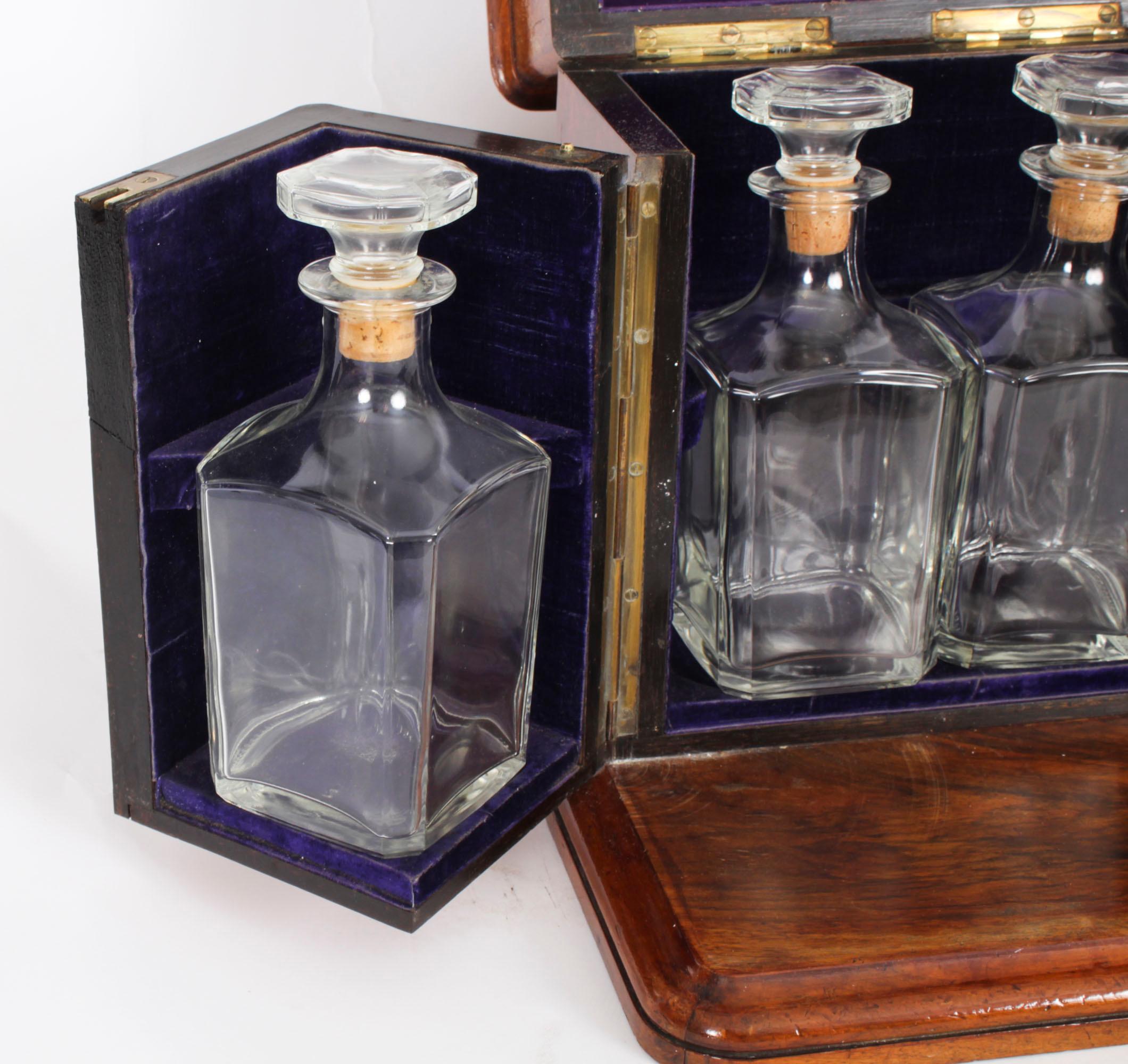 Antique Victorian Burr Walnut 4 Bottle Crystal Decanter Tantalus 19th Century 3