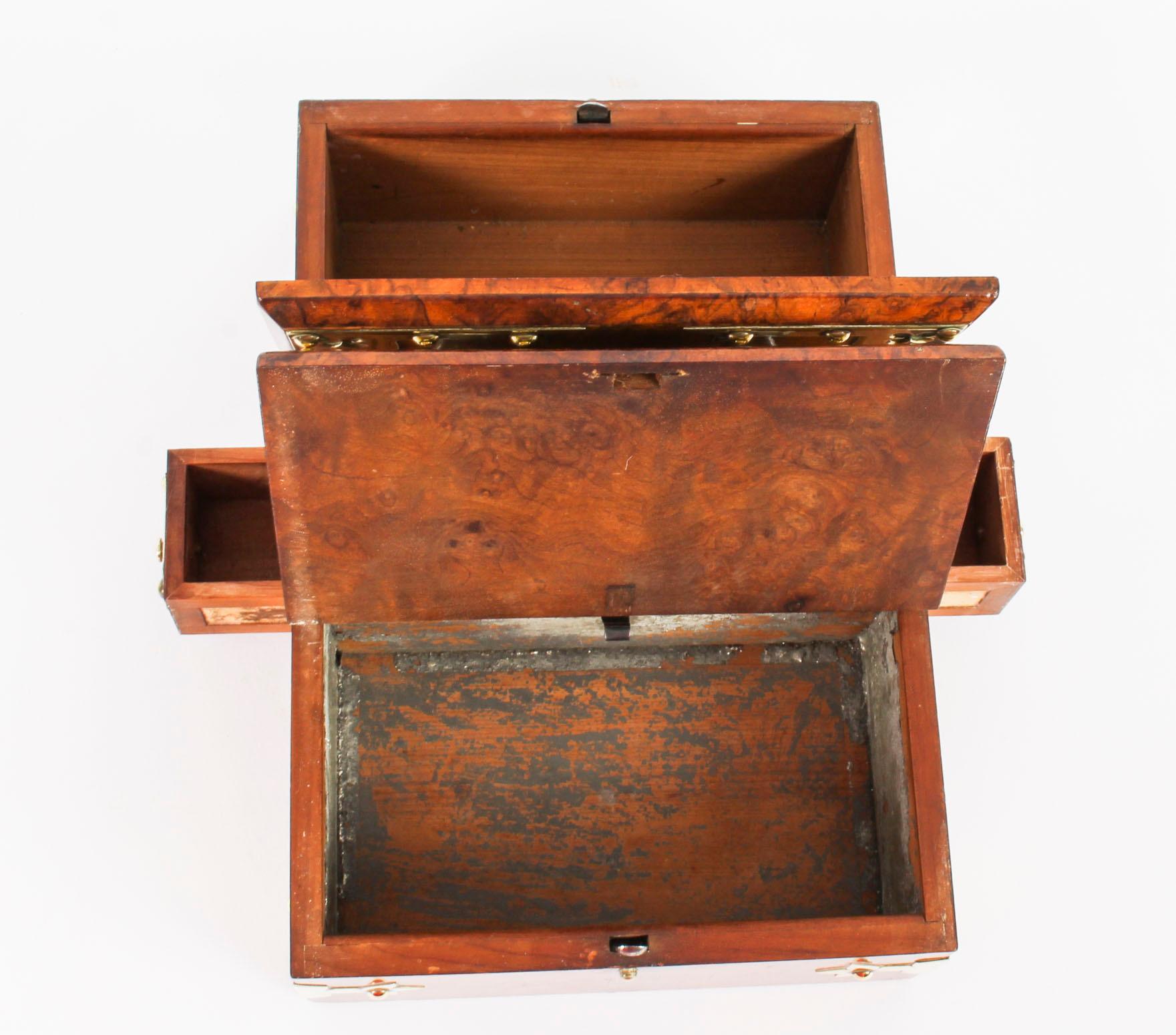 Antique Victorian Burr-Walnut and Brass Mounted Cigar Box, 19th Century 2