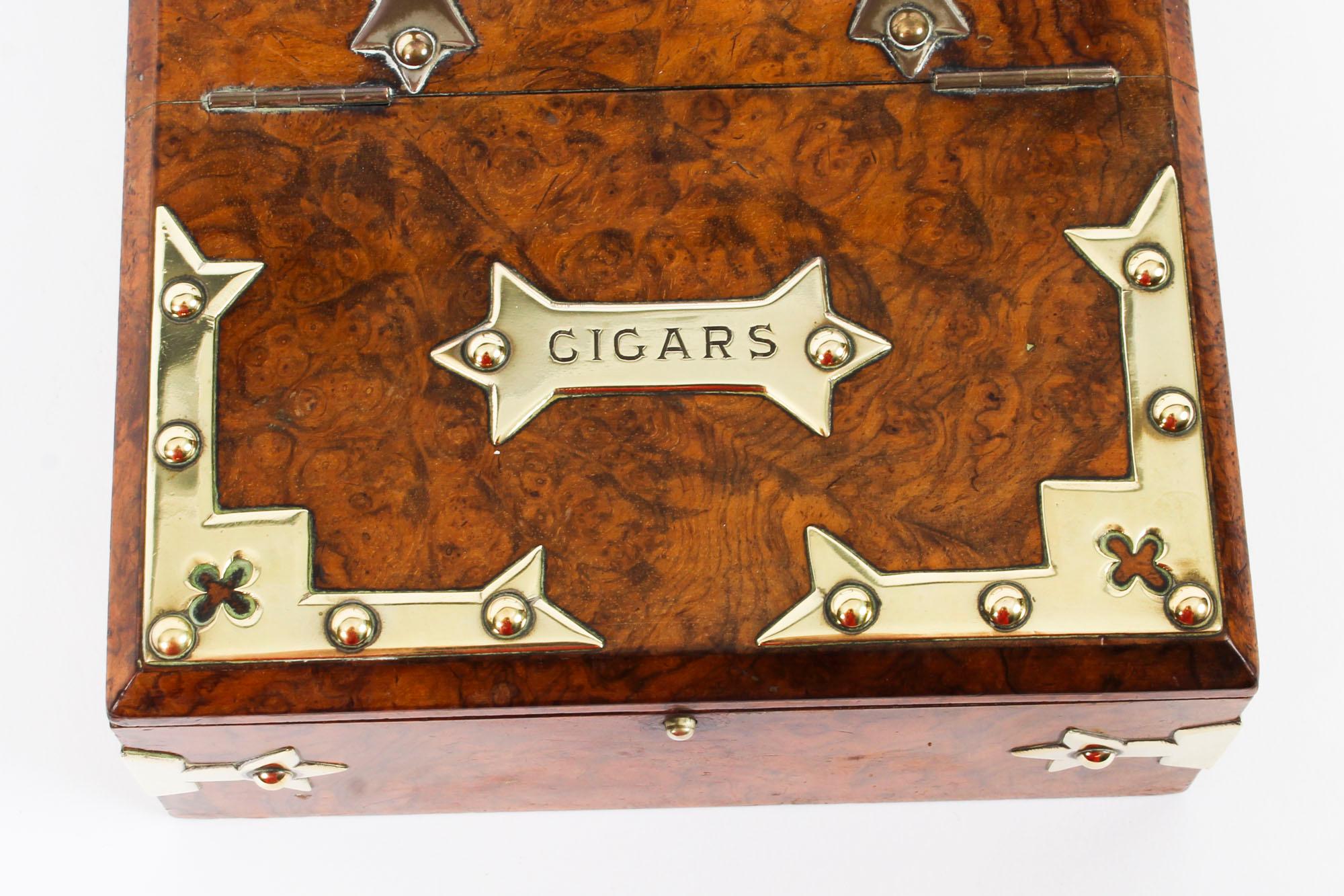 English Antique Victorian Burr-Walnut and Brass Mounted Cigar Box, 19th Century