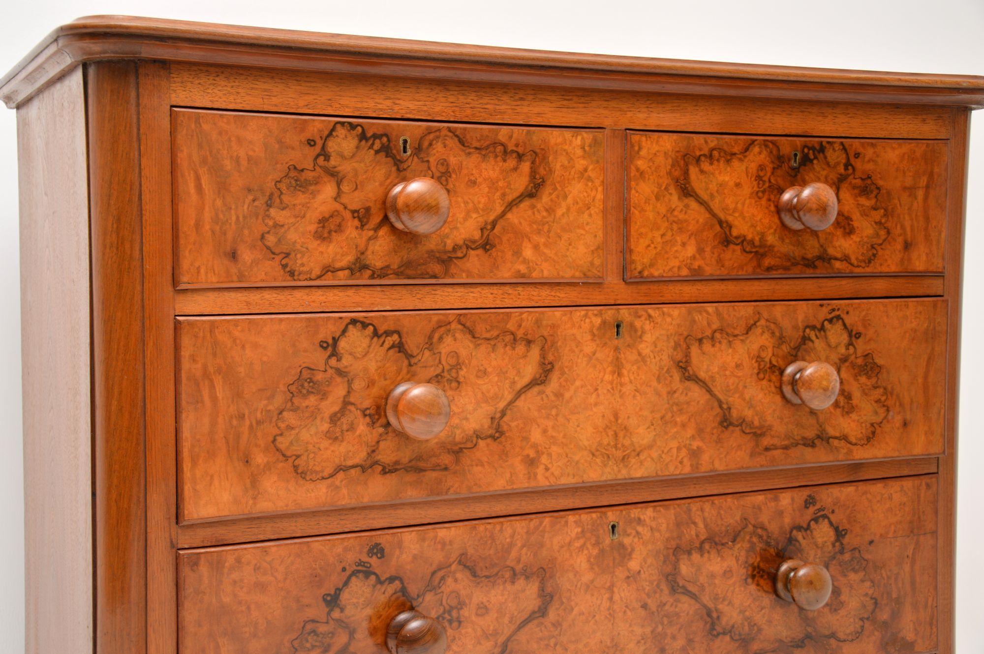 British Antique Victorian Burr Walnut Chest of Drawers