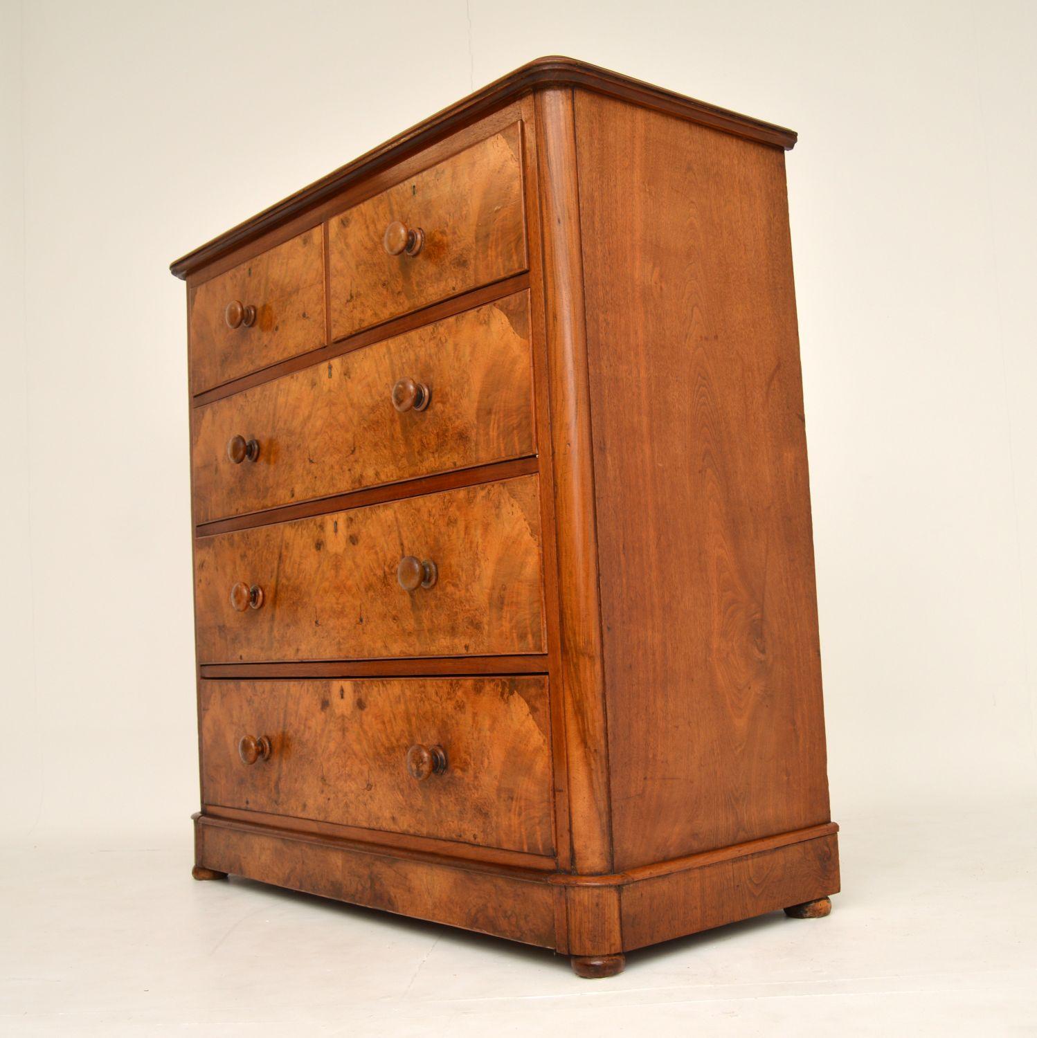 English Antique Victorian Burr Walnut Chest of Drawers