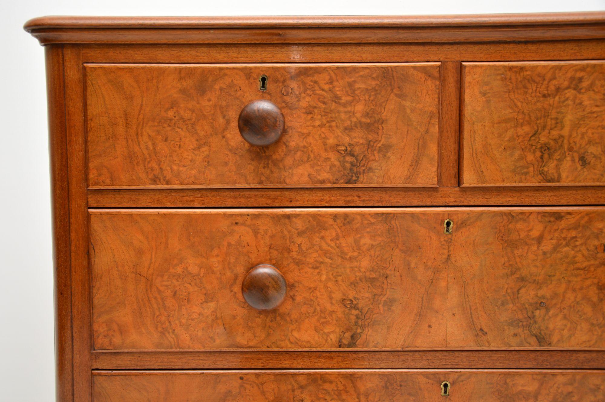Antique Victorian Burr Walnut Chest of Drawers 2
