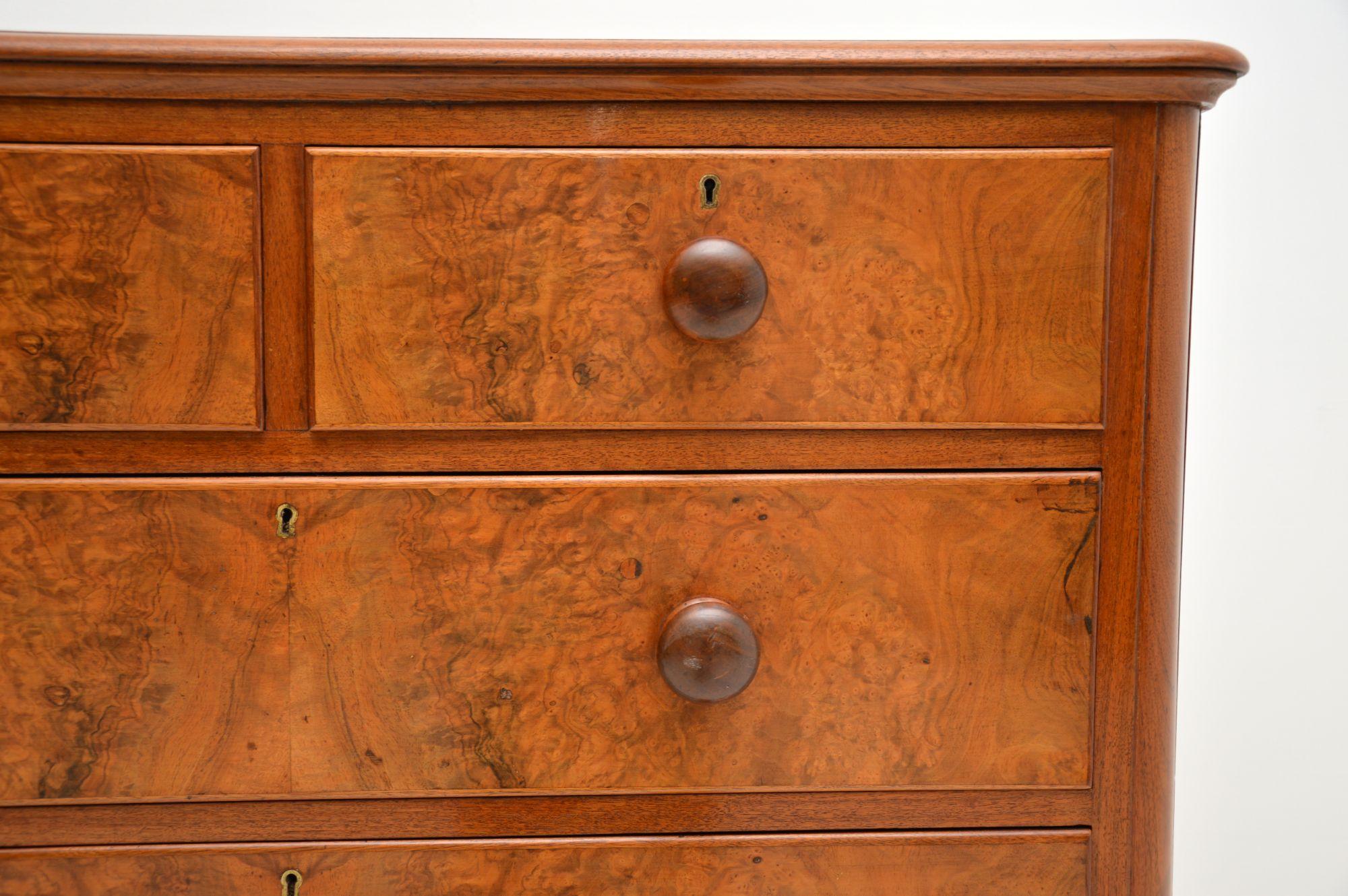 Antique Victorian Burr Walnut Chest of Drawers 3