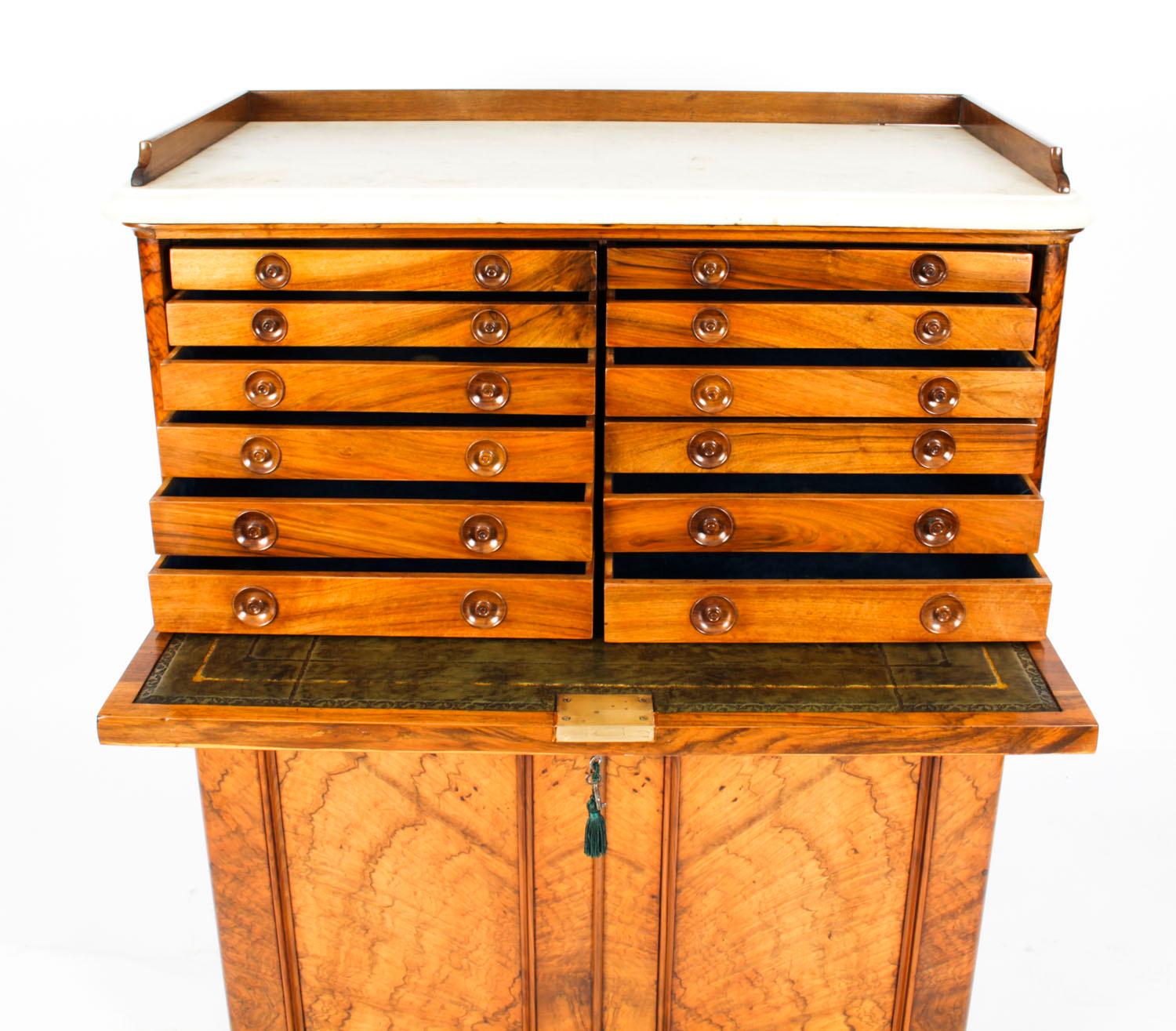 Antique Victorian Burr Walnut Collectors Cabinet, 19th Century 5