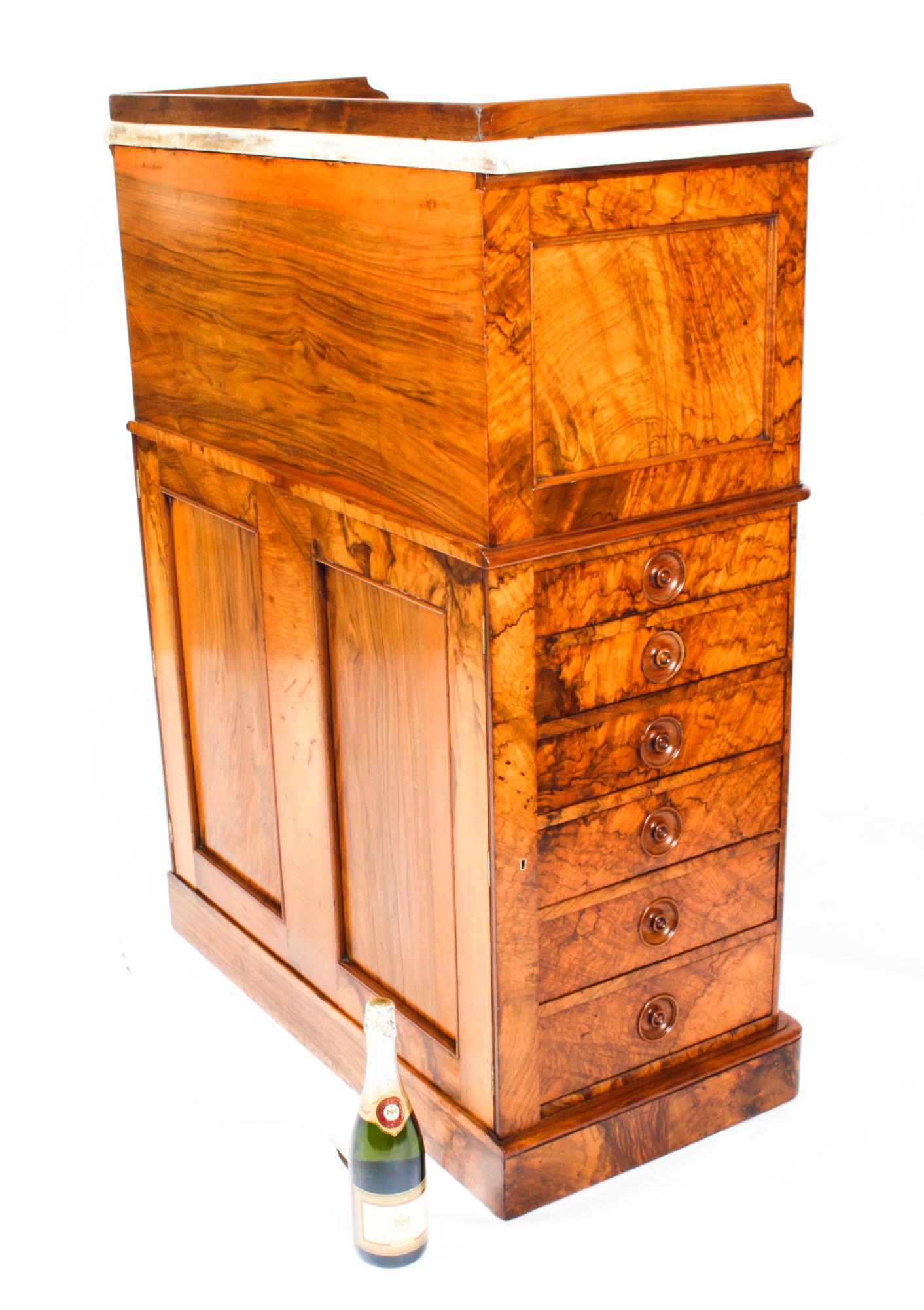 Antique Victorian Burr Walnut Collectors Cabinet, 19th Century 13