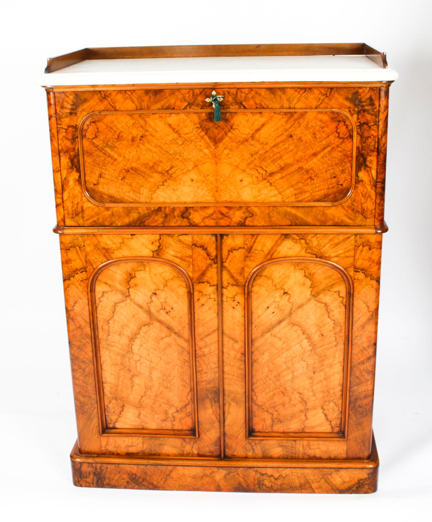 English Antique Victorian Burr Walnut Collectors Cabinet, 19th Century
