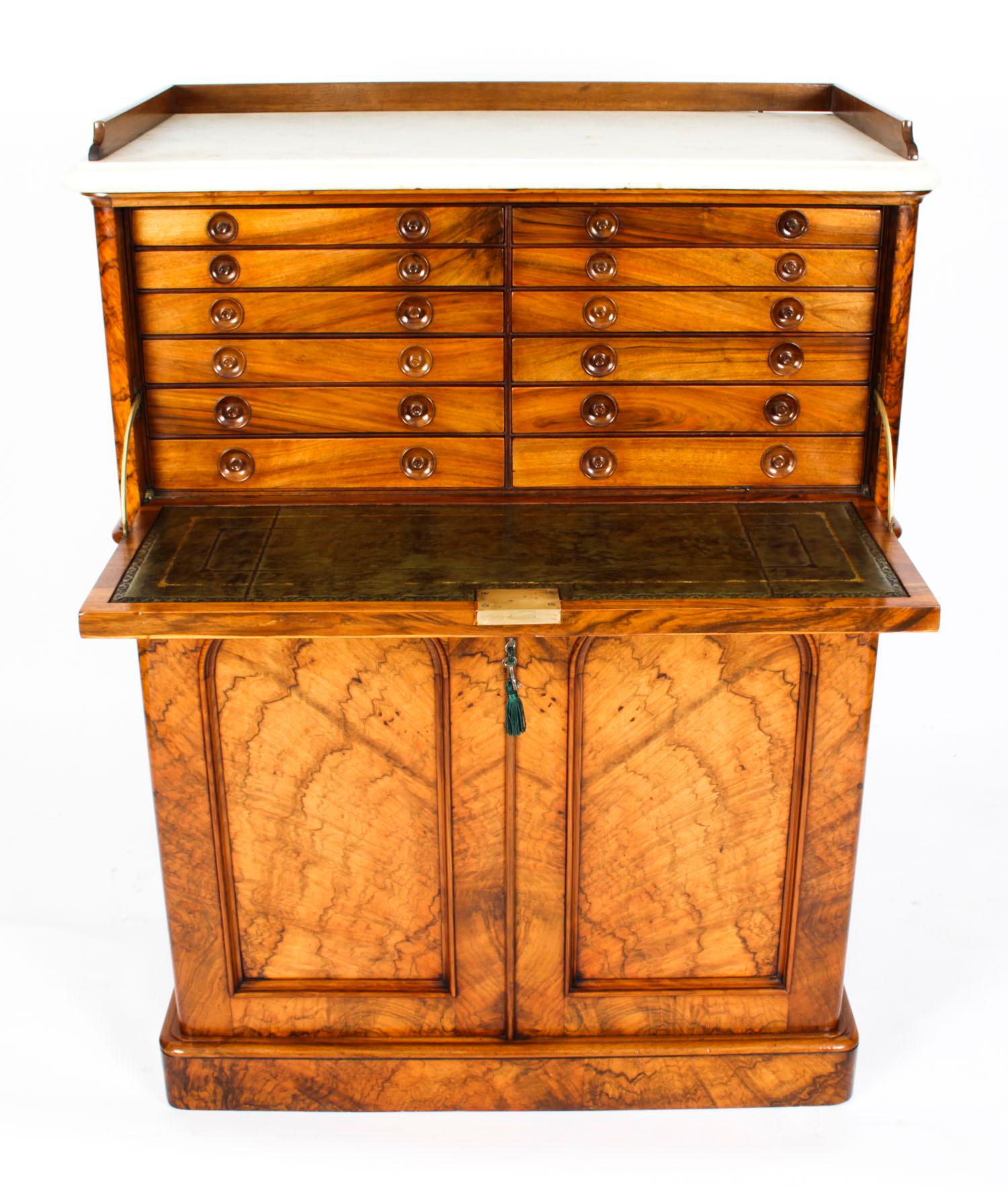 Antique Victorian Burr Walnut Collectors Cabinet, 19th Century 3