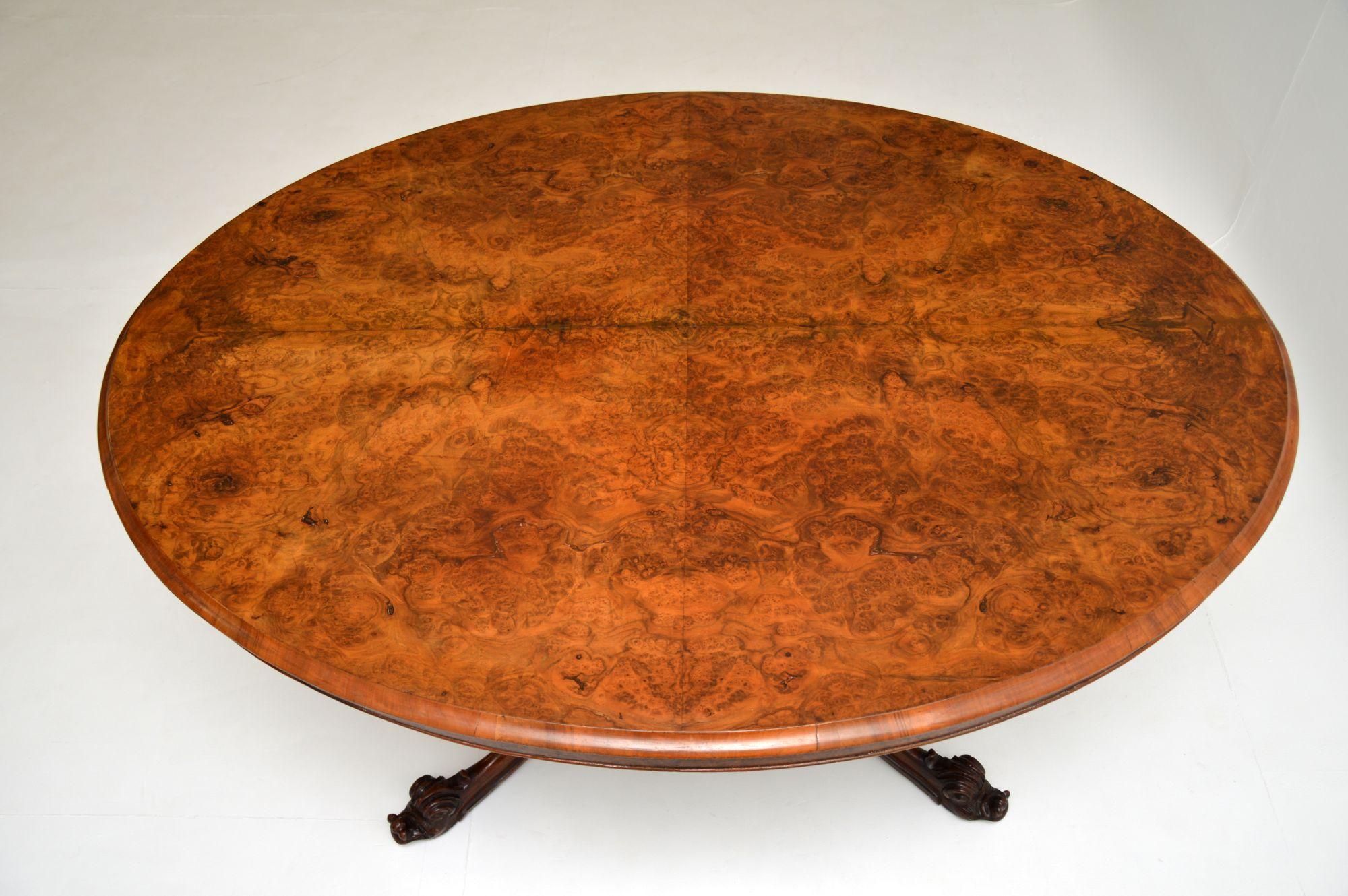 English Antique Victorian Burr Walnut Loo Table