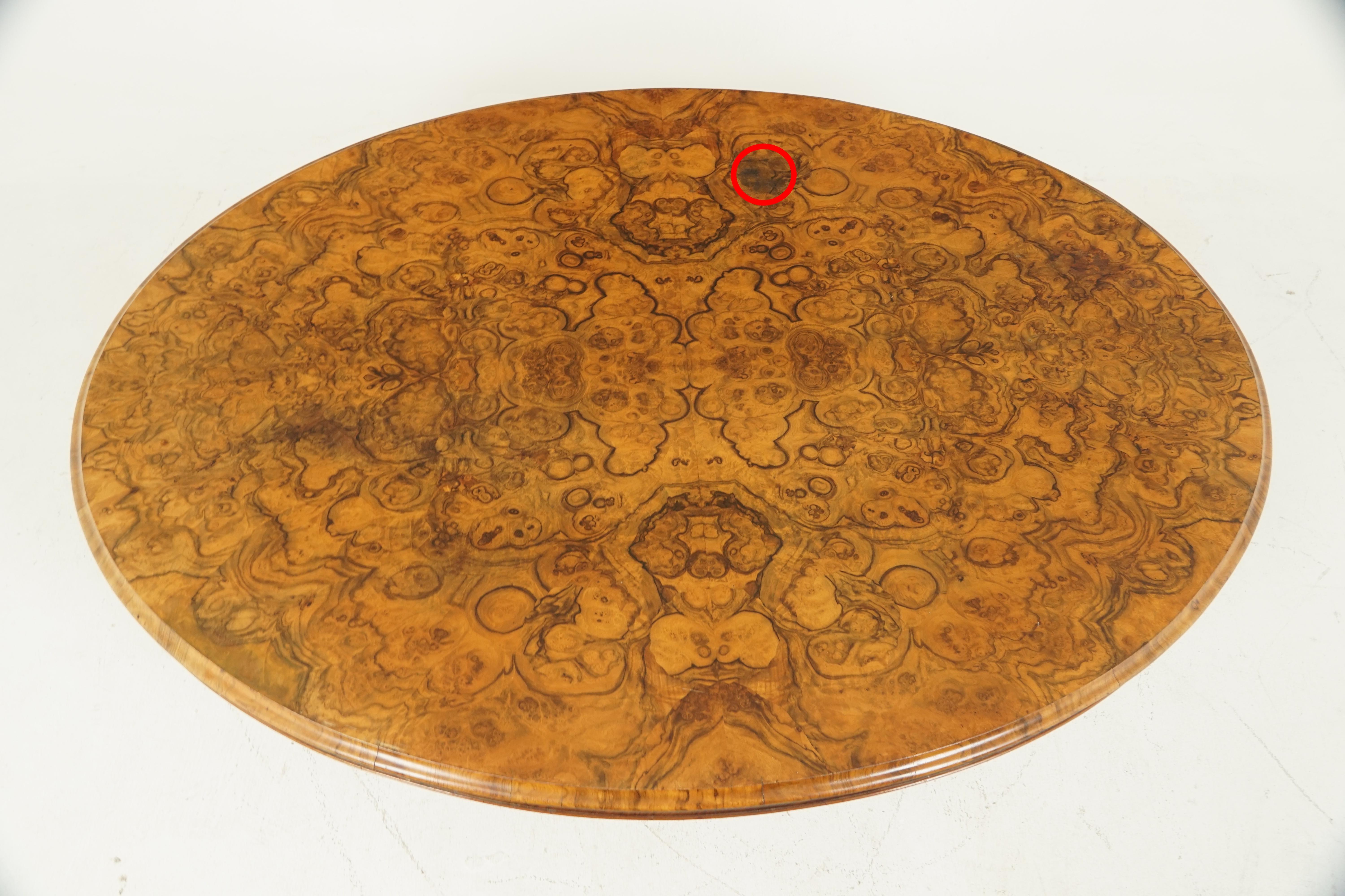 Antique Victorian Burr Walnut Reduced Coffee Table, Scotland 1870, B2087 3