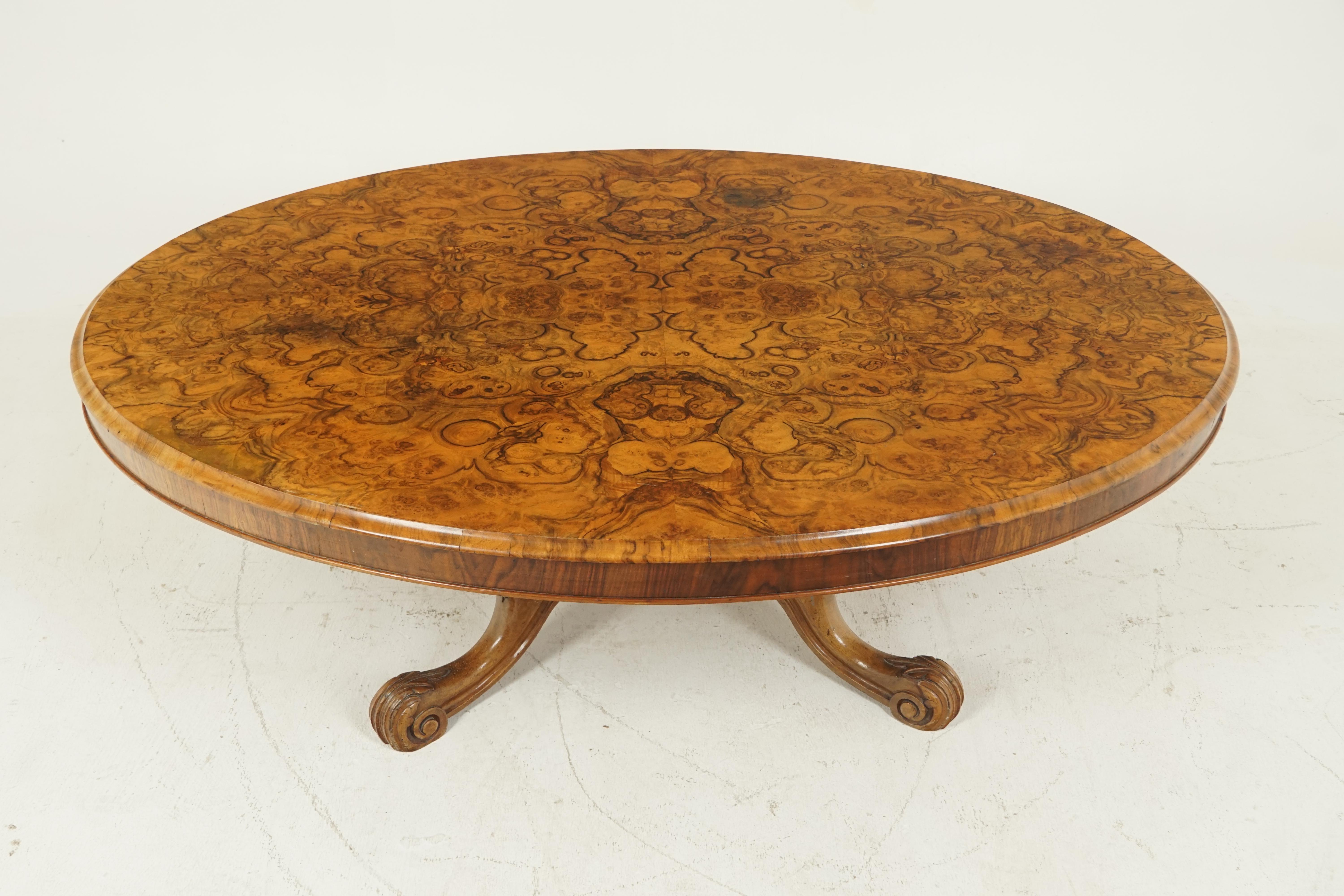 Antique Victorian burr walnut reduced coffee table, Scotland 1870, B2087 

Scotland 1870
Solid walnut and veneer
Original finish
Oval in shape with a moulded edge
With a wonderful burr walnut top
The table top is all supported by a turned and