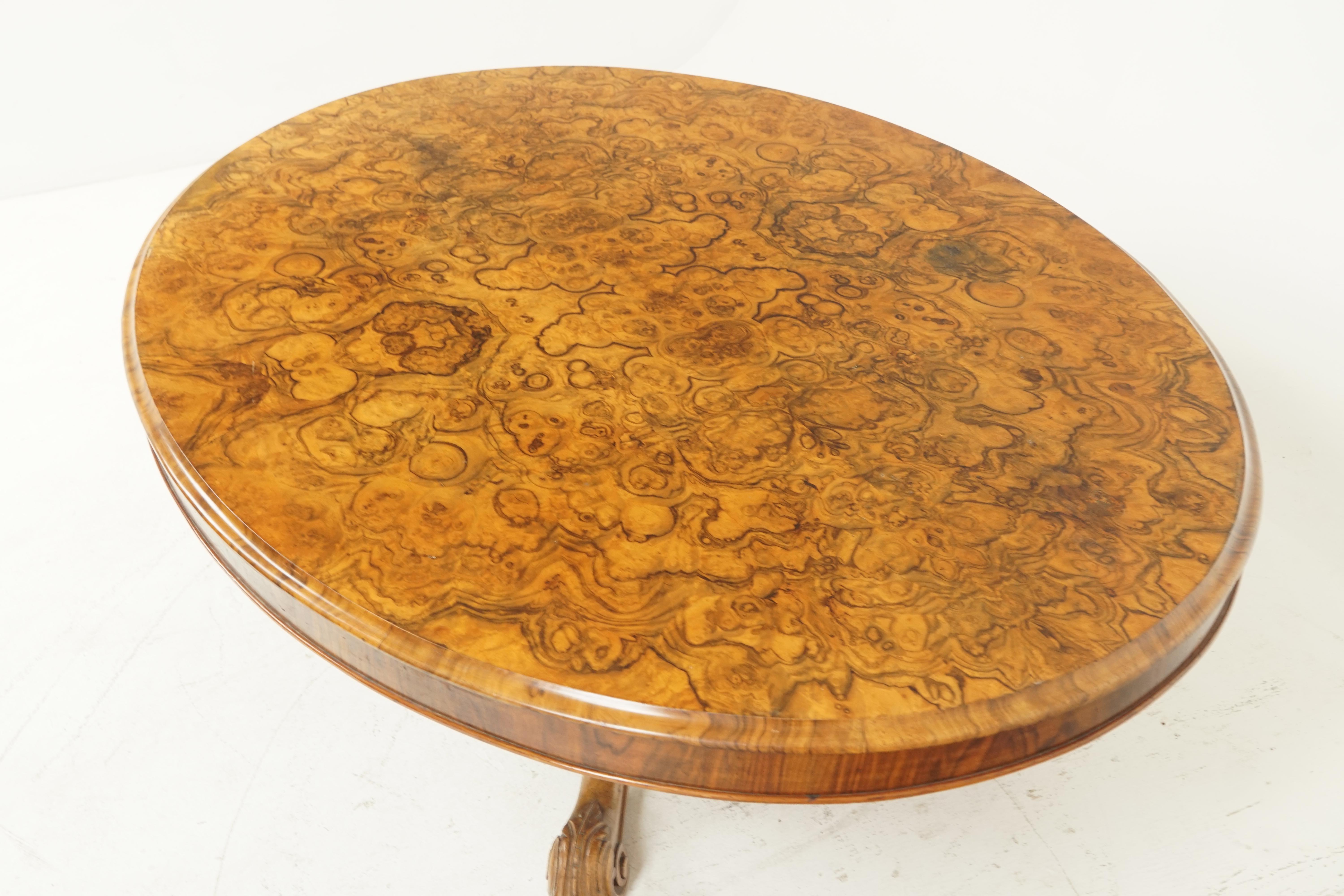 Scottish Antique Victorian Burr Walnut Reduced Coffee Table, Scotland 1870, B2087