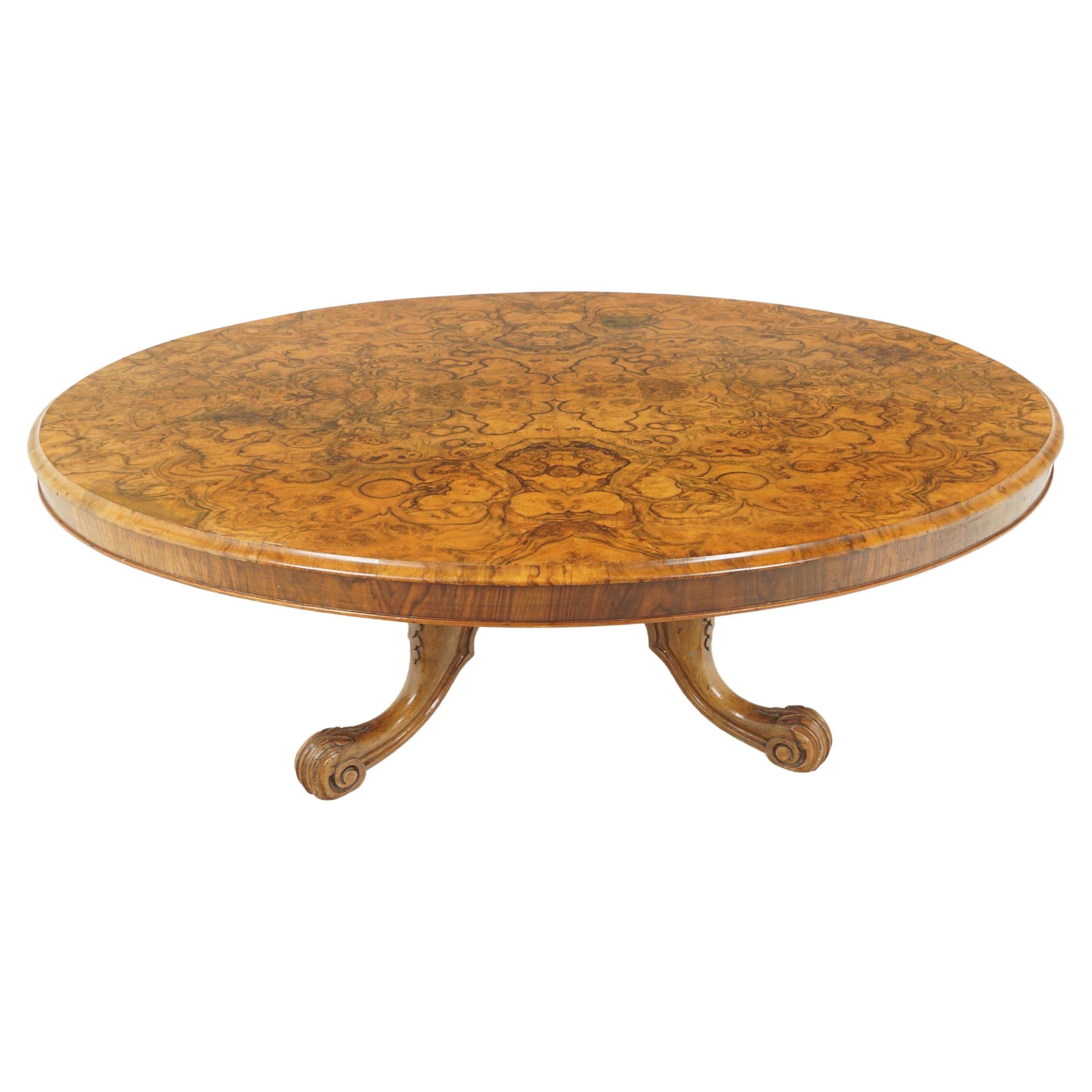 Antique Victorian Burr Walnut Reduced Coffee Table, Scotland 1870, B2087