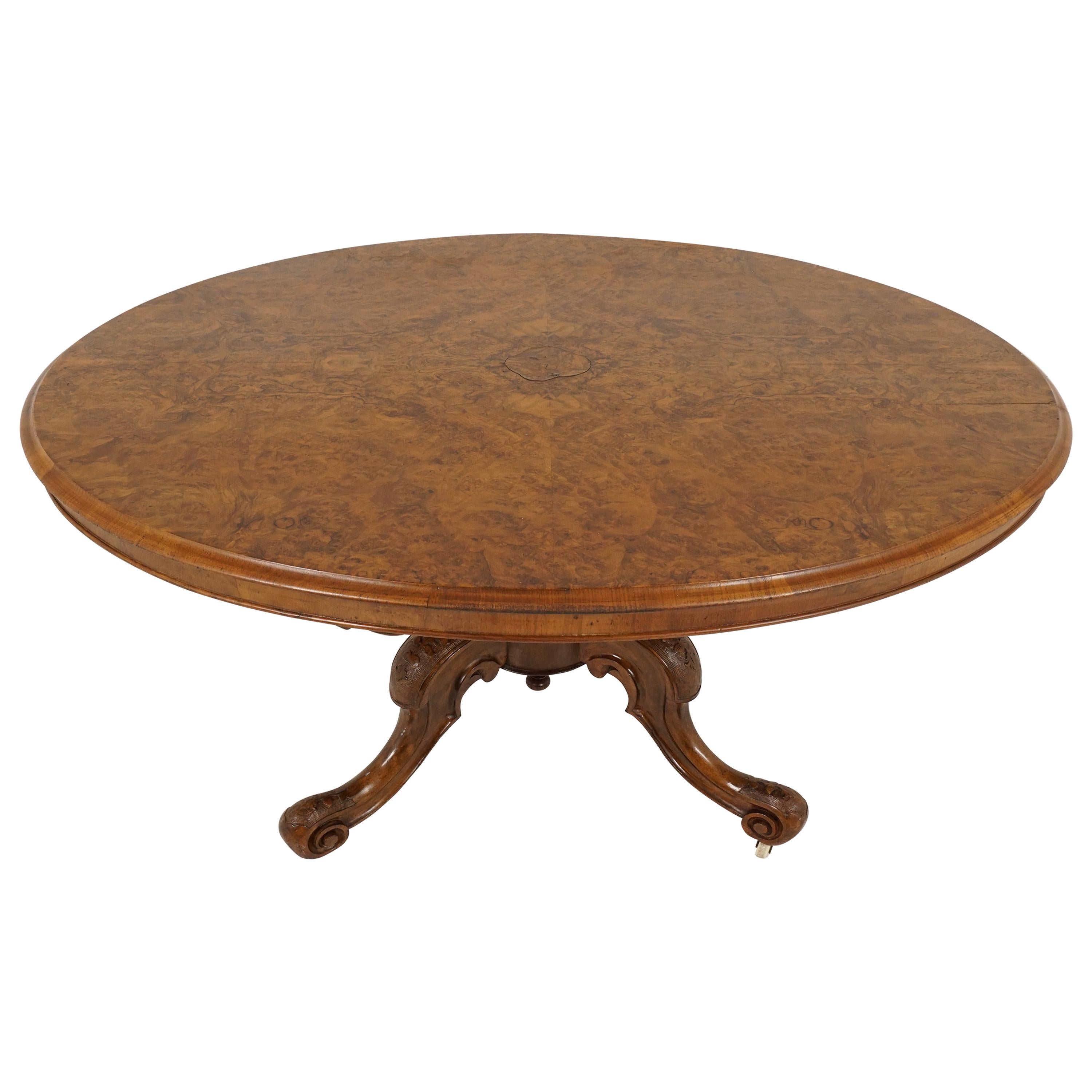 Ancienne table de salle à manger victorienne en ronce de noyer avec plateau à bouton-pression, Écosse 1880, H 121