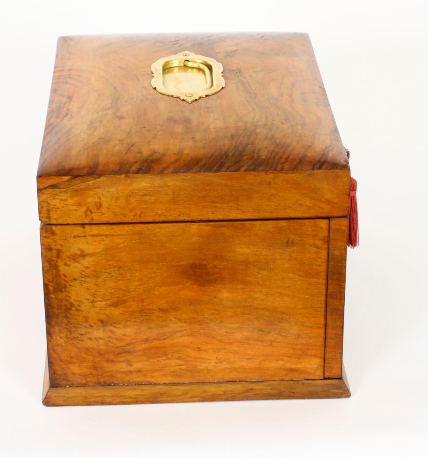 Antique Victorian Burr Walnut Table Top Jewellery Collectors Cabinet 1880s 6