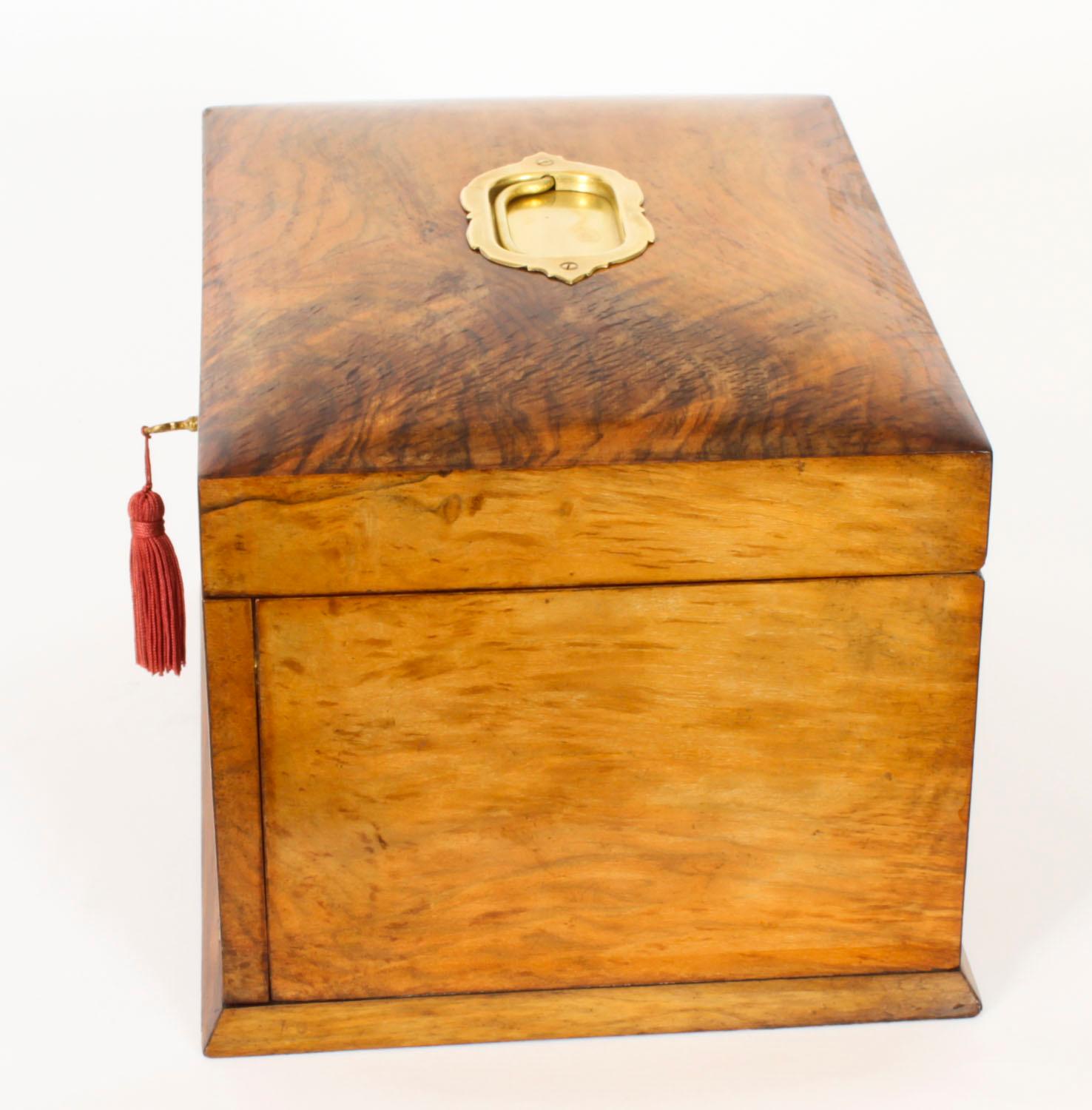 Antique Victorian Burr Walnut Table Top Jewellery Collectors Cabinet 1880s 8
