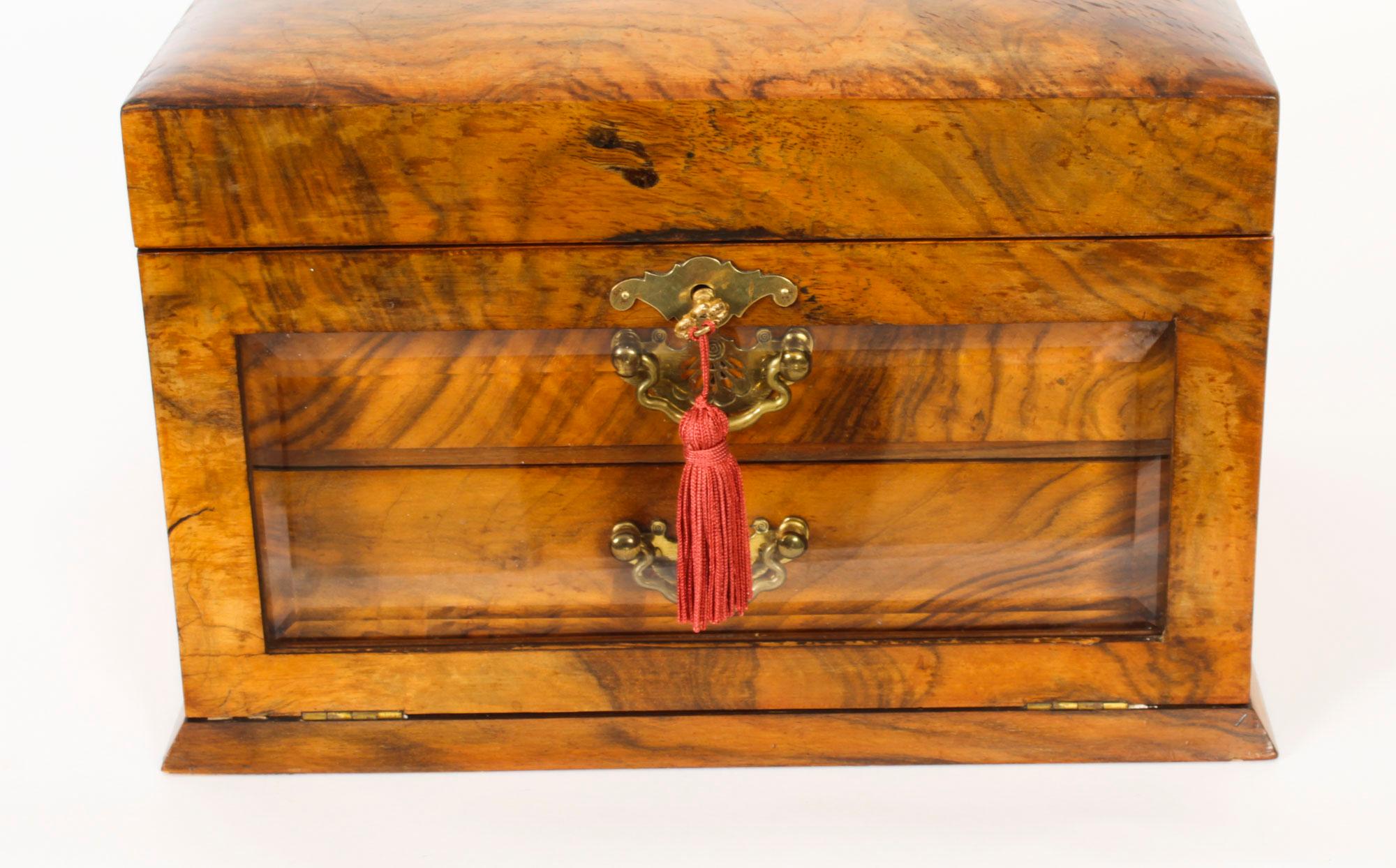 Early 19th Century Antique Victorian Burr Walnut Table Top Jewellery Collectors Cabinet 1880s