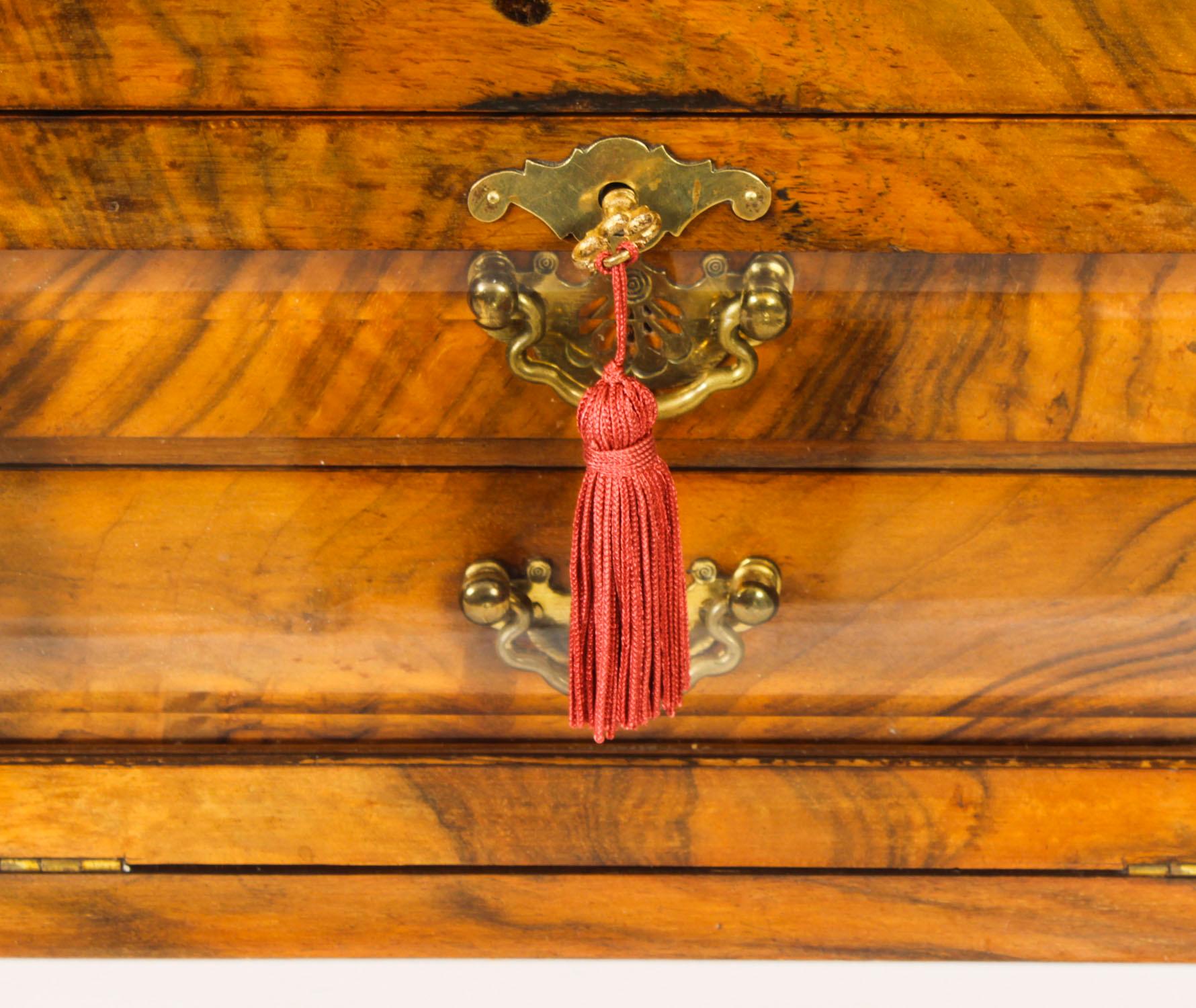 Antique Victorian Burr Walnut Table Top Jewellery Collectors Cabinet 1880s 1