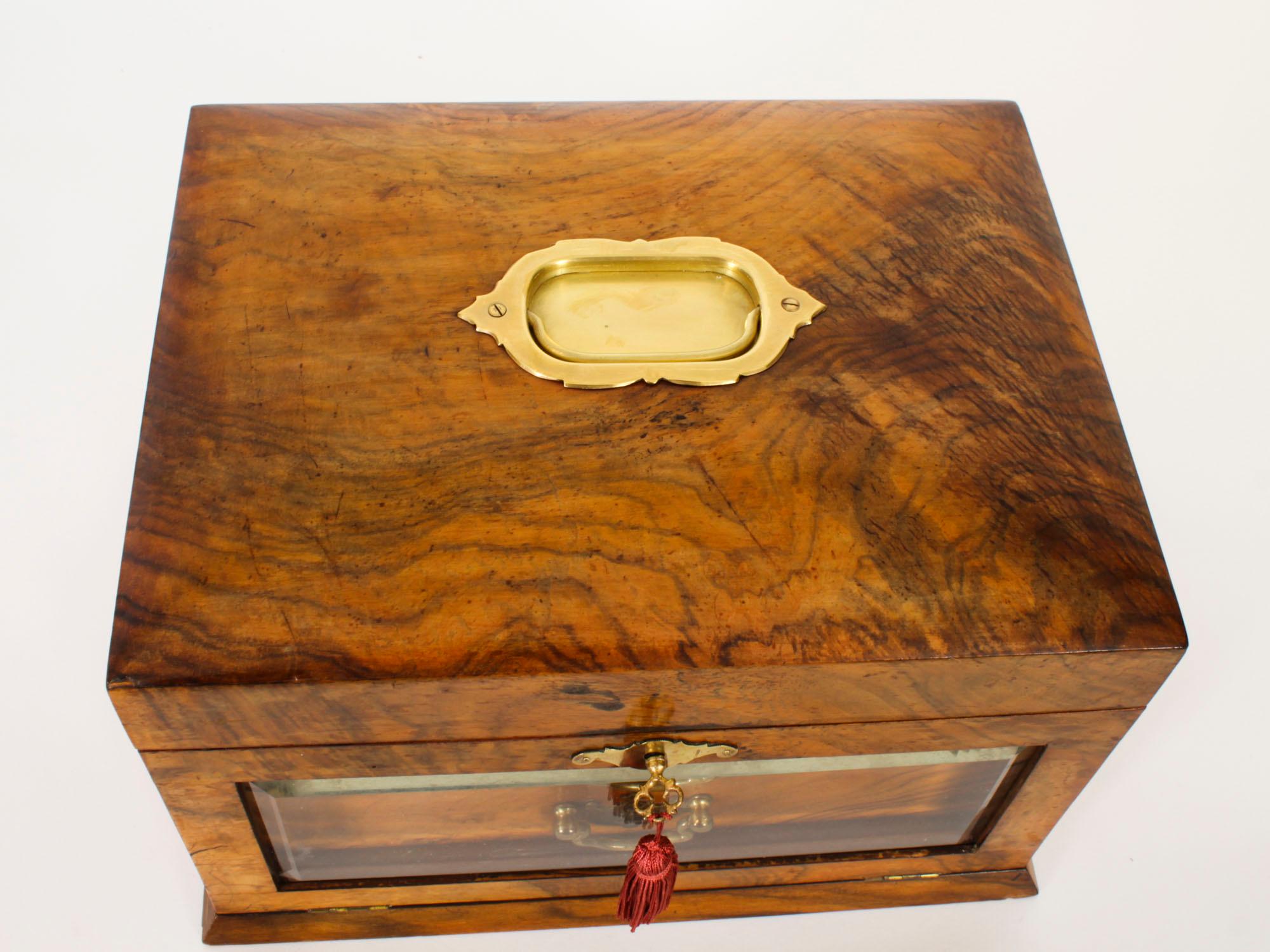 Antique Victorian Burr Walnut Table Top Jewellery Collectors Cabinet 1880s 3
