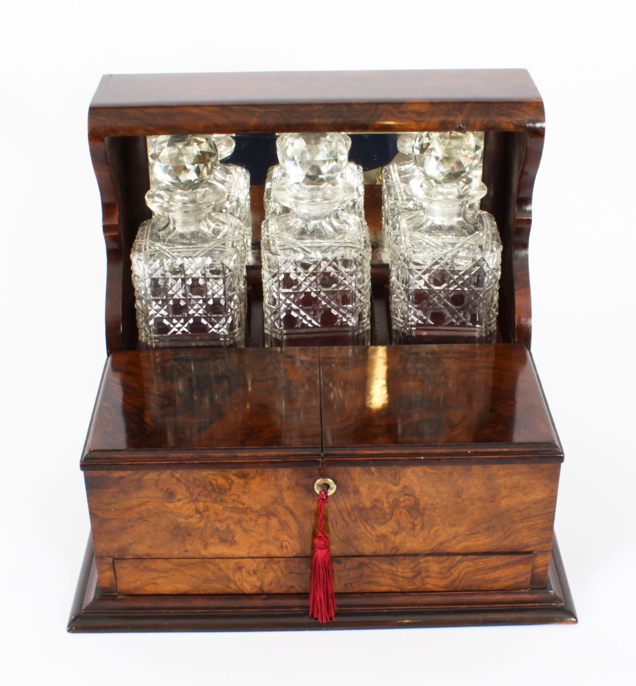 This is a superb antique Victorian burr walnut cased three decanter tantalus with decorativecut brass carry handles to the sides, circa 1880 in date.
 
This magnificent tantalus features three wonderful hobnail cut square decanters with faceted