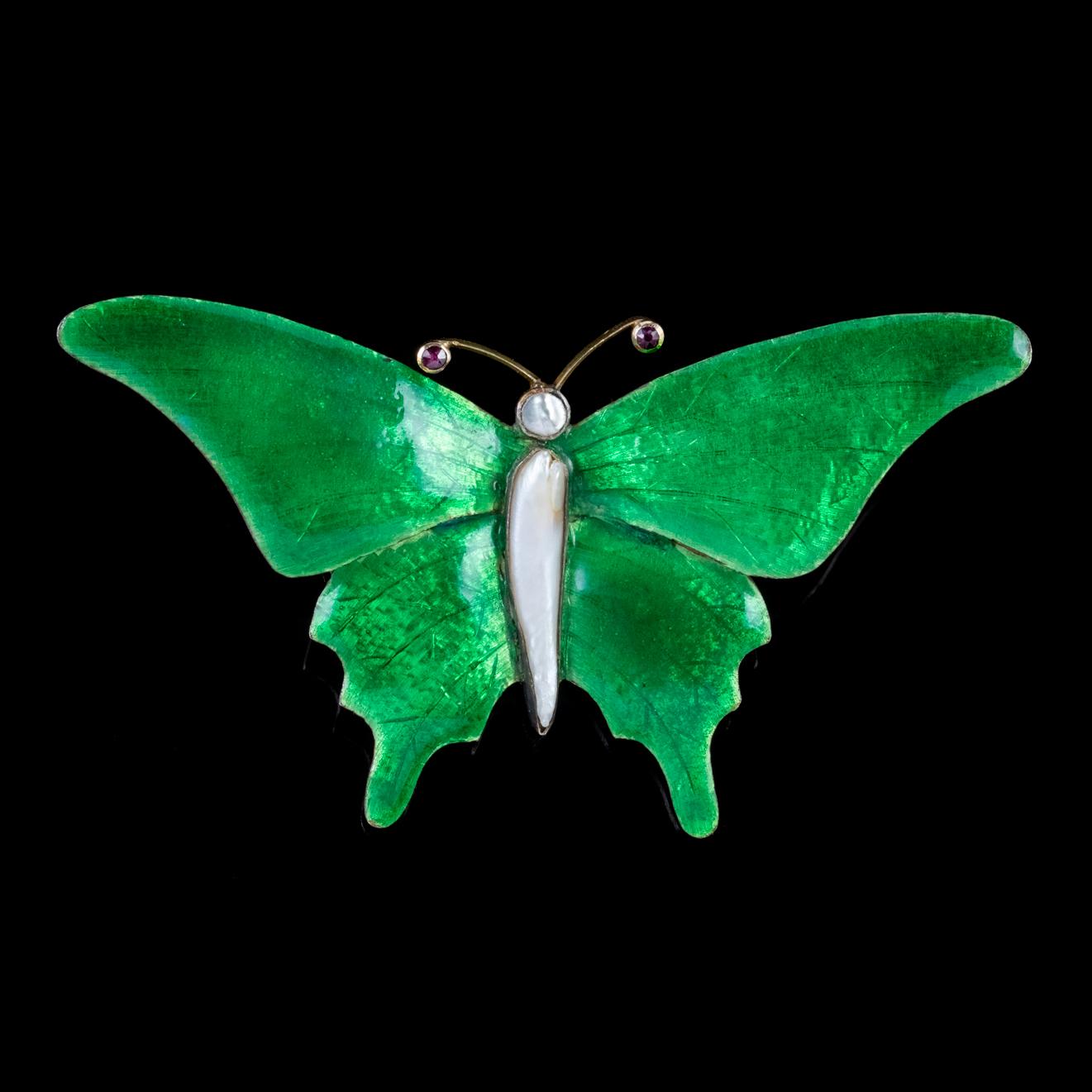 A beautiful antique Victorian butterfly brooch boasting fabulous wings layered in a vibrant green Enamel on the front and a lovely sky-blue underneath. The Enamel work is truly exquisite and has a glimmering metallic texture and fine detailing.