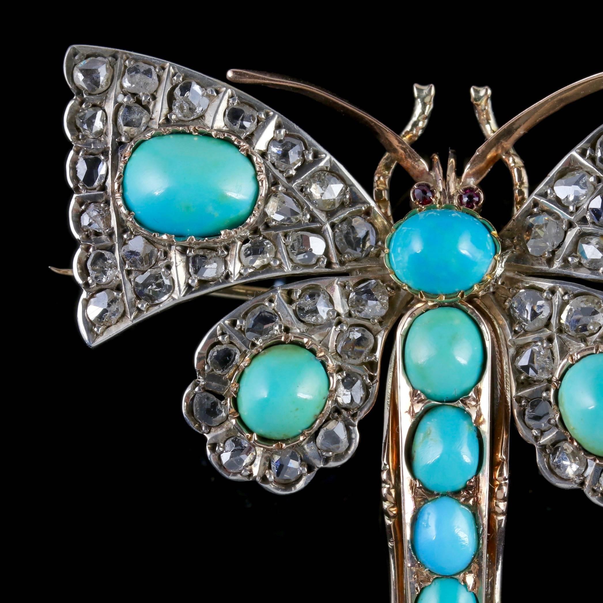 This magnificent antique Turquoise and Diamond butterfly brooch is Victorian Circa 1860. 

Butterfly or insect jewellery is highly collectable and was a symbol of good luck to the wearer during the Victorian Era.

The fabulous butterfly is decorated